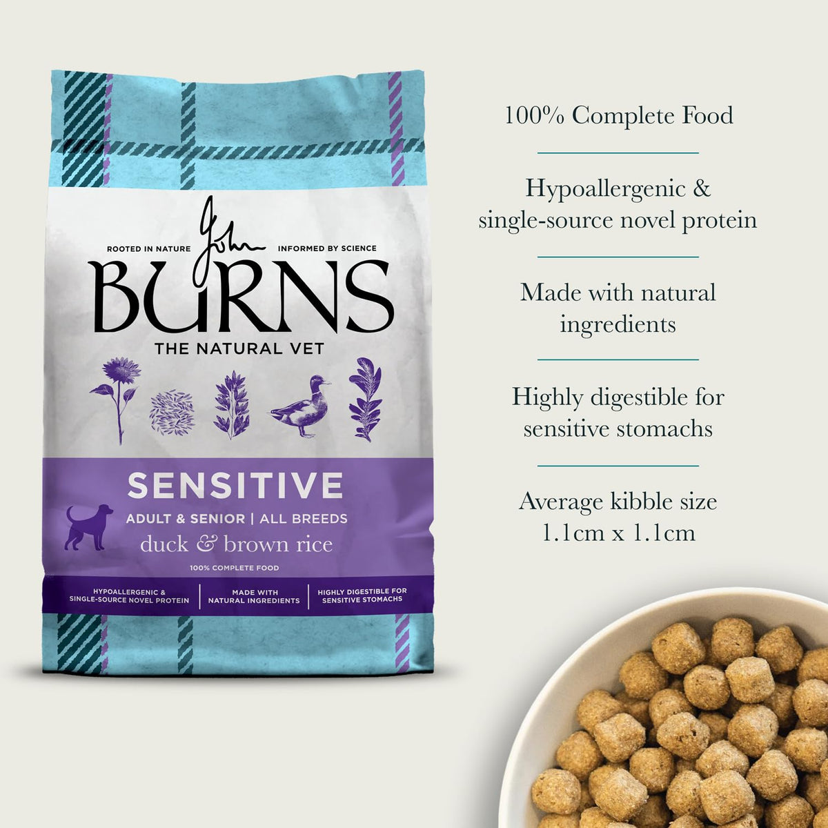 Burns Pet Nutrition Hypoallergenic Complete Dry Dog Food Adult and Senior Dog Sensitive with Pork and Potato 2 kg