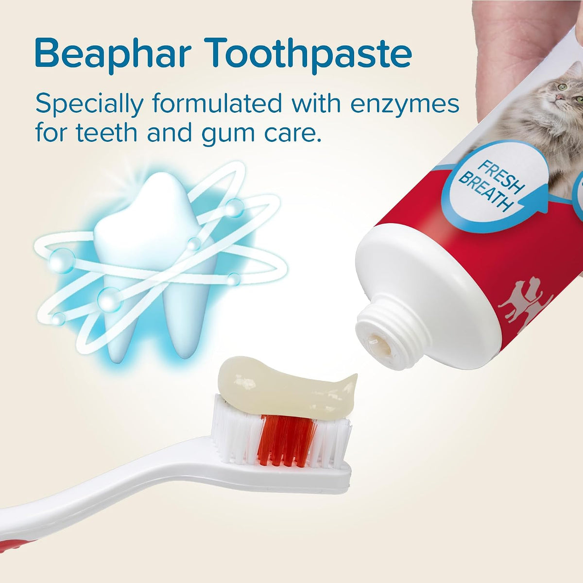 Beaphar - Liver Flavour Toothpaste with Enzymes - Dental Care for Cats & Dogs - Helps Control Plaque and Tartar, and Freshen Breath - Supports Normal Gum Function – Fluoride & Xylitol-Free - 100g Tube