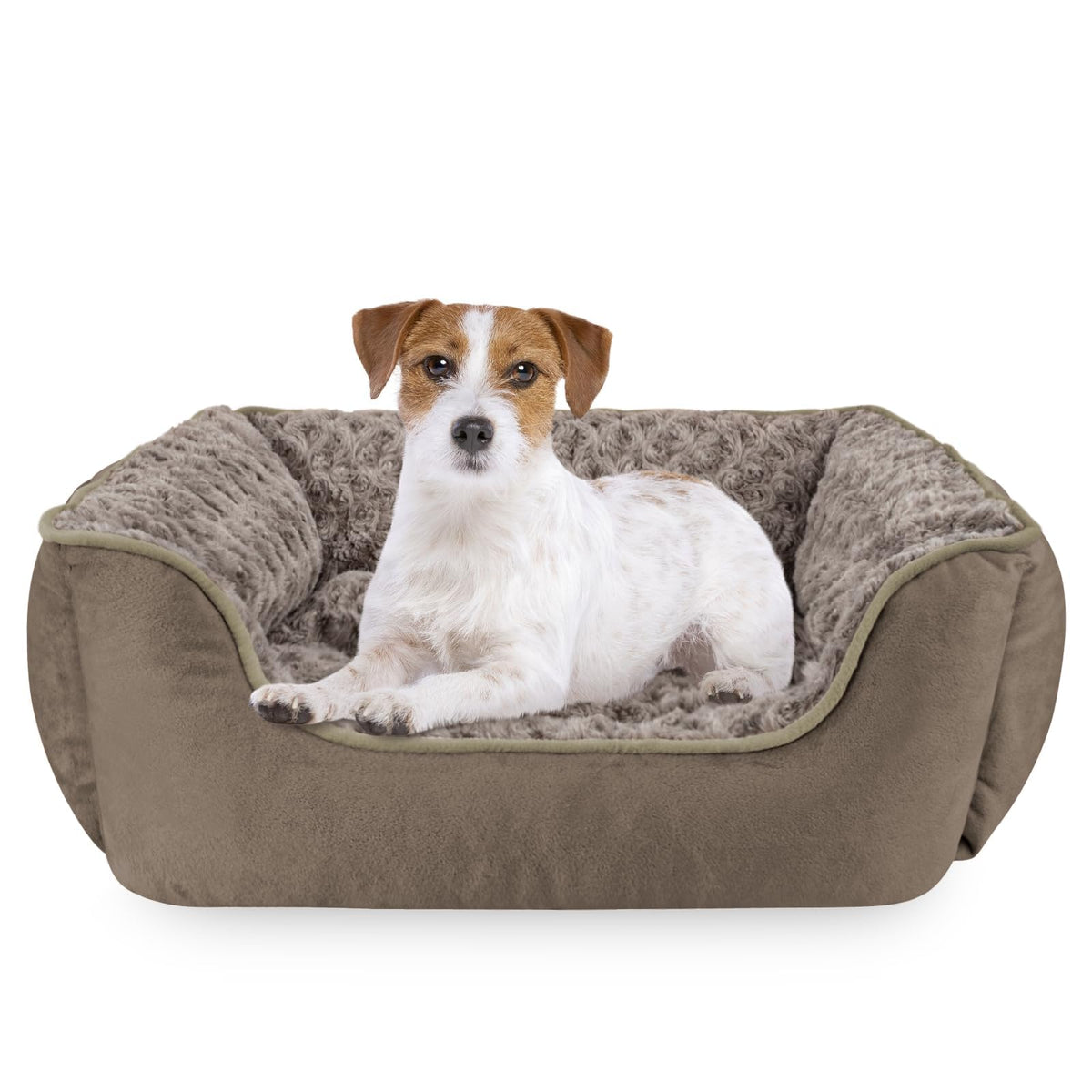 JOEJOY Dog Bed Medium - Washable Rectangle Dog Beds, Anti-Anxiety, Soft Plush Non-Slip Bottom Pet Bed - Small | Medium | Large Size Mattress Mat, Grey