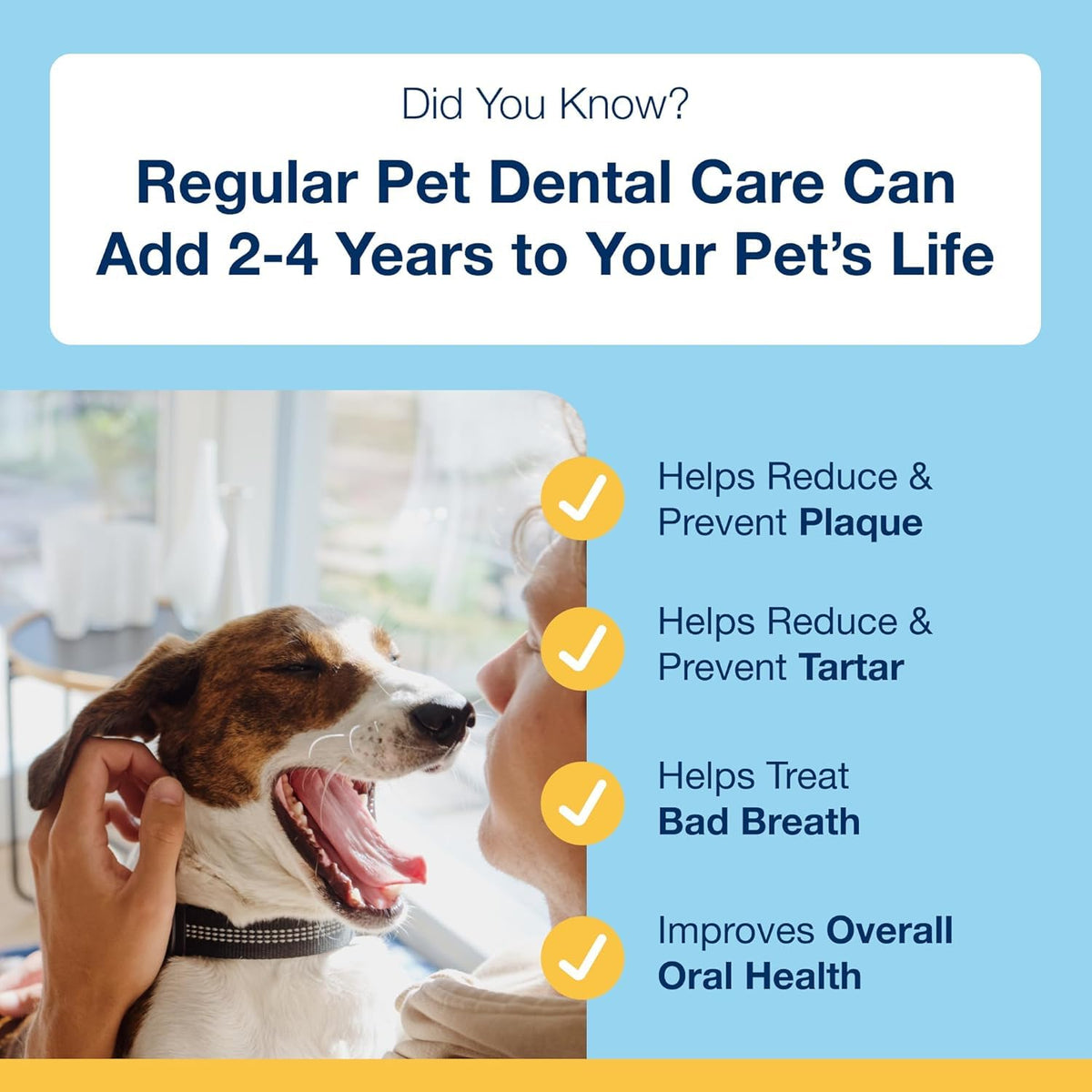 ProDen PlaqueOff 13 Dental Bones for Medium & Large Dogs, Chicken & Pumpkin