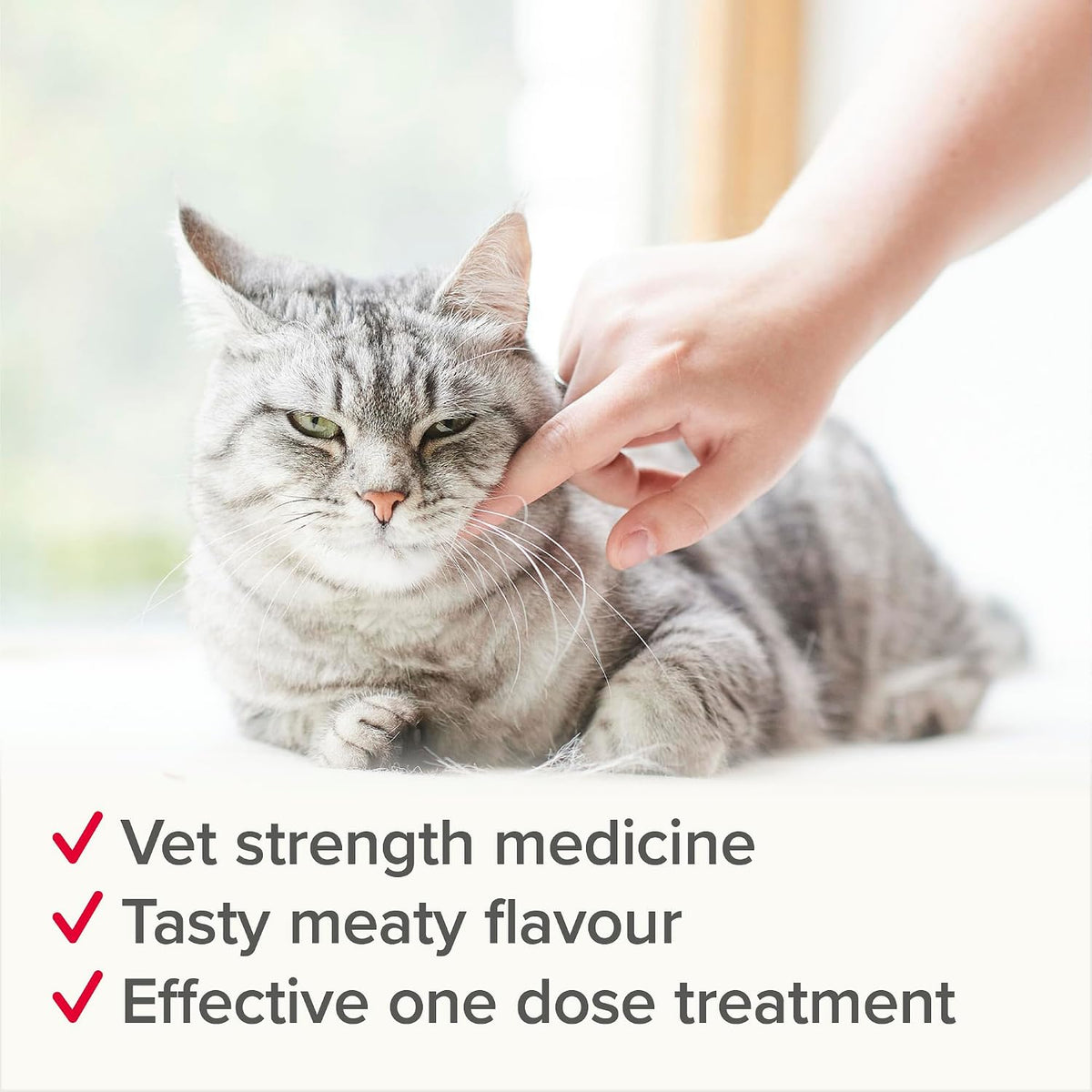 Beaphar - WORMclear® Tablets for Cats - 2 Tablet Pack - Kills All Common UK Intestinal Worms (Roundworms & Tapeworms) - Vet Strength Worm Treatment - Meaty-Flavoured - For Cats Over 6 Weeks Old & 1kg