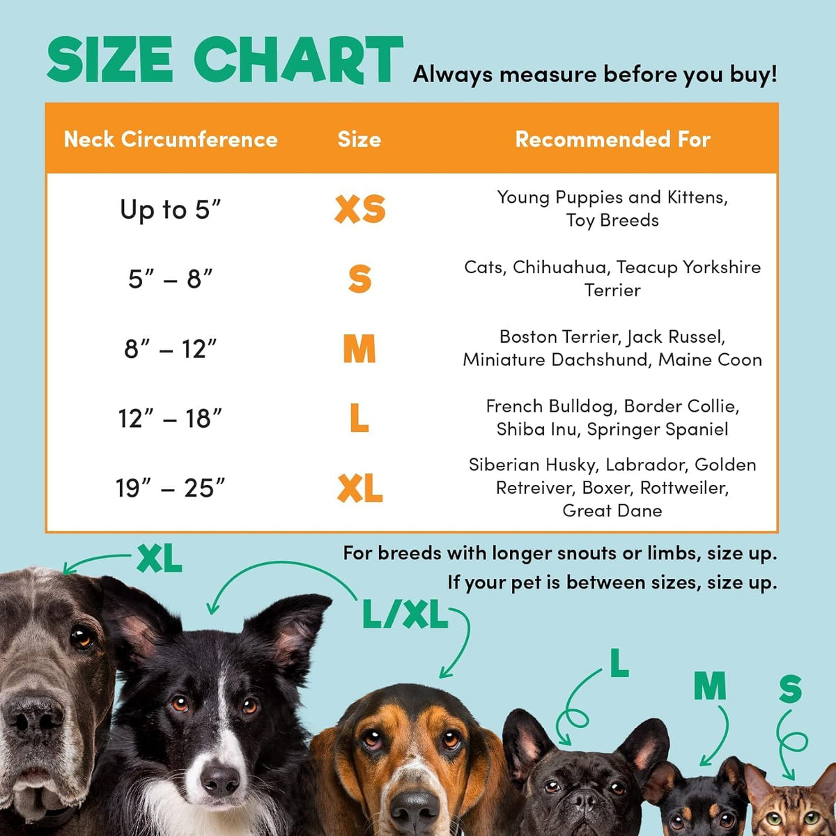 BENCMATE Protective Inflatable Collar for Dogs and Cats - Soft Pet Dog Cone Recovery Collar Does Not Block Vision E-Collar Blue-L