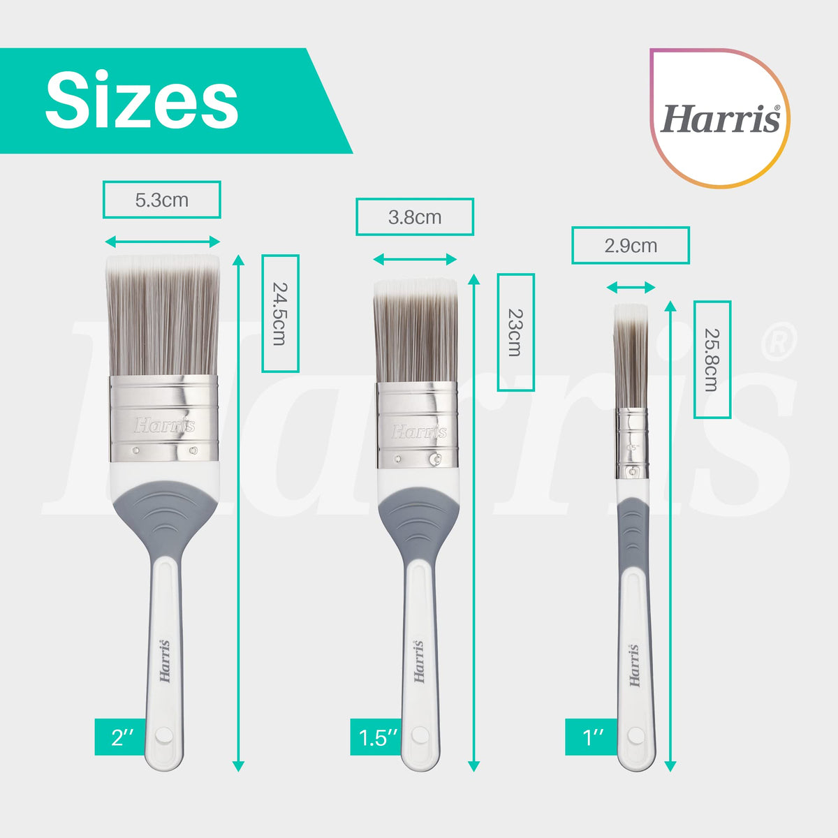 Harris Seriously Good Paintbrush Set, 5 Brush Pack, 1 x 0.5, 1 x 1, 1 x 1.5, 2 x 2 Paint Brushes