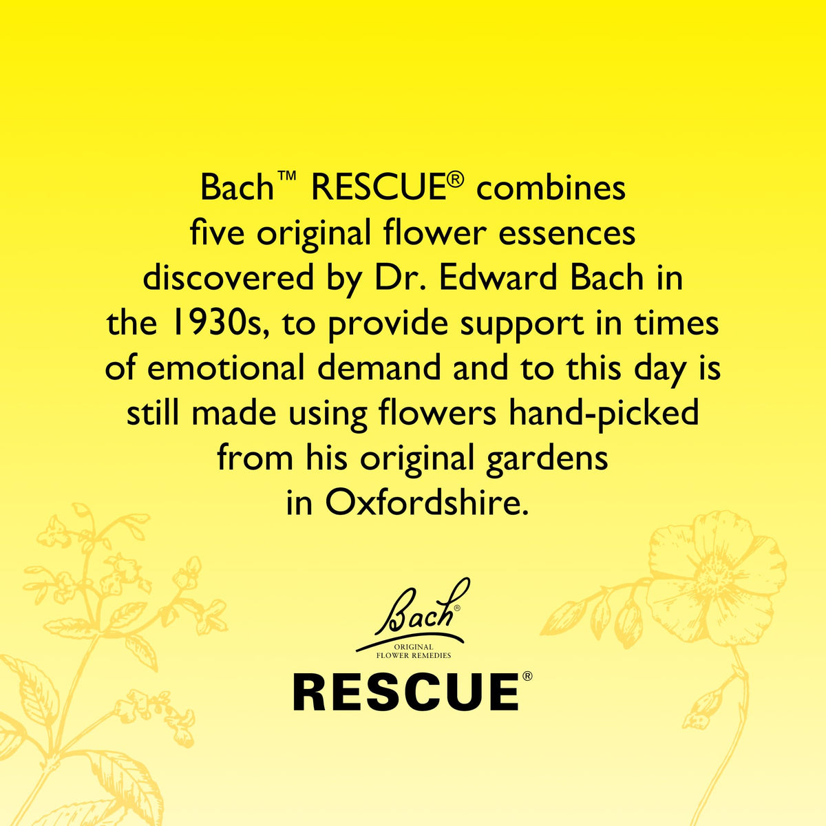 Rescue Remedy Pastilles | Orange & Elderflower Flavoured | Daily Support for Stressful Moments | Bach Original Flower Essences | Chewable Pastilles | 50g Travel Tin