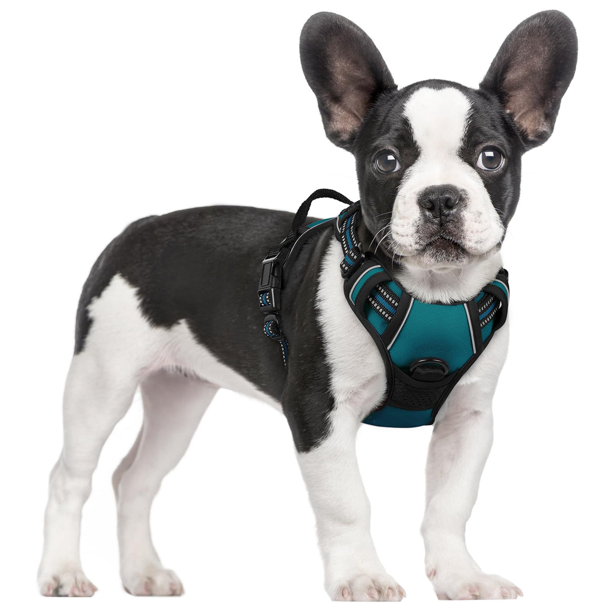 rabbitgoo Dog Harness Large Dog, No Pull Vest with Front Clip & Handle