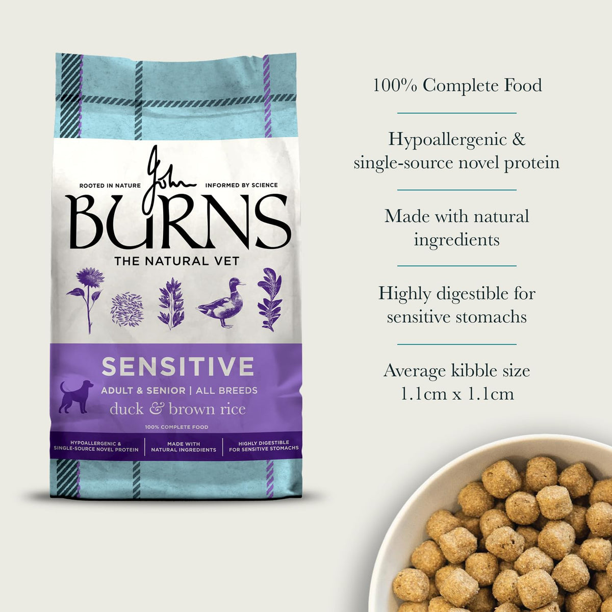 Burns Pet Nutrition Hypoallergenic Complete Dry Dog Food Adult and Senior Dog Sensitive with Pork and Potato 2 kg