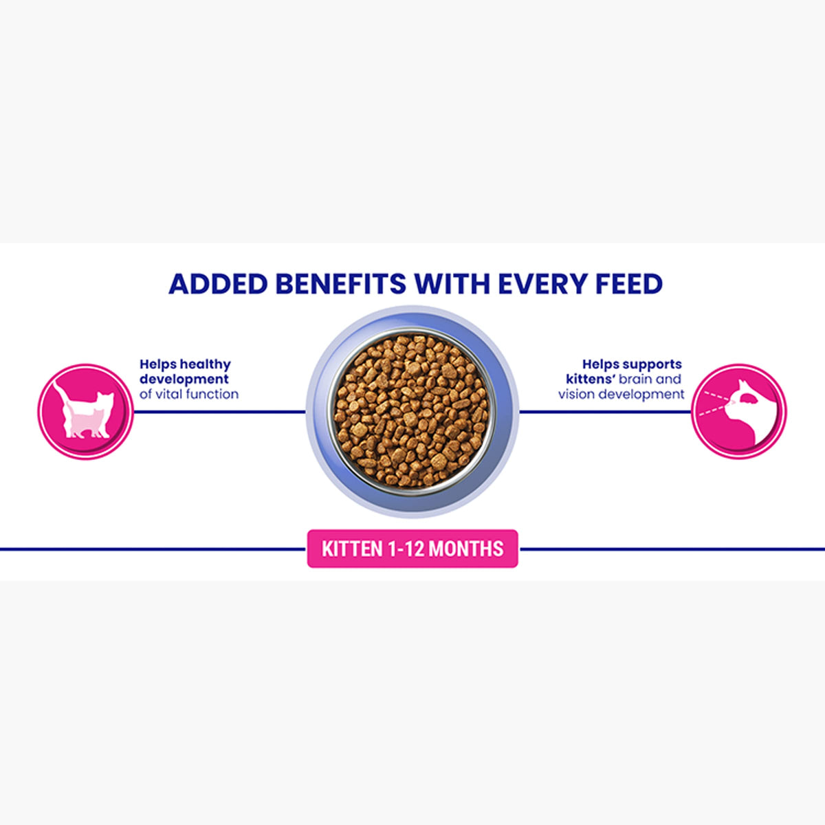 PURINA ONE BIFENSIS Dry Food for Adult Cats, Rich in Chicken, 1 Pack (1 x 5.7 kg)