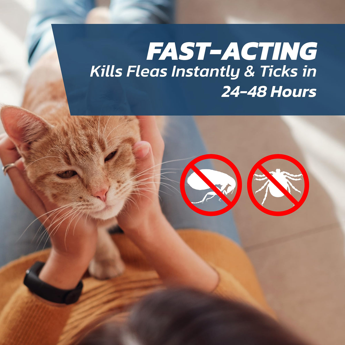 Dog Flea Treatment Small Dog x 6 - Spot on Flea Treatment for Dogs Small 2-10kg - FleaSolve Flea & Tick Solution - 6 x Pipettes - 6 x Doses
