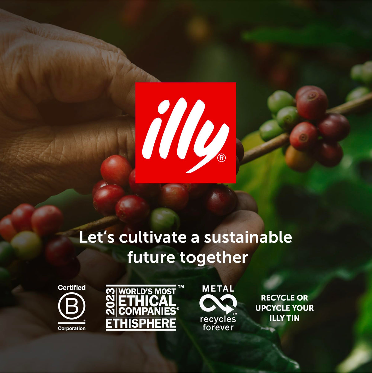 illy Classico Coffee Beans, 100% Arabica Blend, Medium Roast, Intensity 5/9, Smooth & Balanced with Caramel & Floral Notes, Suitable for Bean to Cup & Fresh Grinding, 250g