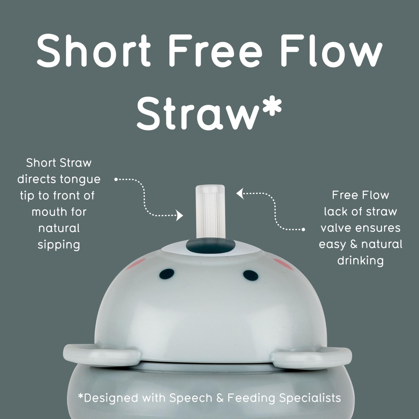 TUM TUM Tippy Up Free Flow Sippy Cup (No Valve), Sippy Cup for Toddlers, 200ml, BPA Free (Betsy Bear S3)