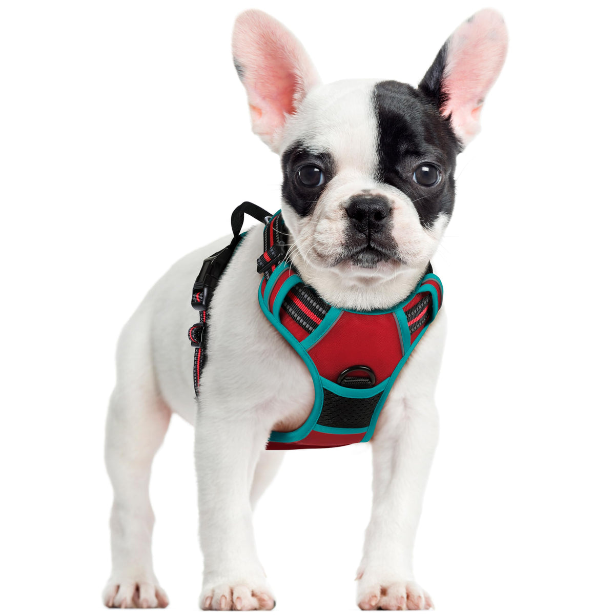 rabbitgoo Dog Harness Large Dog, No Pull Vest with Front Clip & Handle
