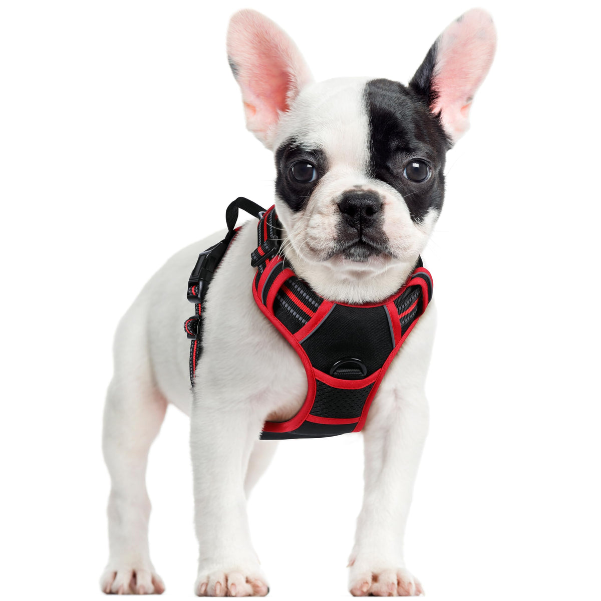 rabbitgoo Dog Harness Large Dog, No Pull Vest with Front Clip & Handle