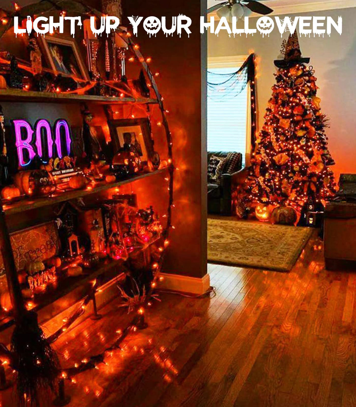 cshare LED Fairy Lights, 5M/16.4Ft 50LEDs with Timer (6 Hours ON | 18 Hours Off) is Battery Operated for Room,Patio,Halloween,Christmas,Indoor/Outdoor Decoration| Cool White