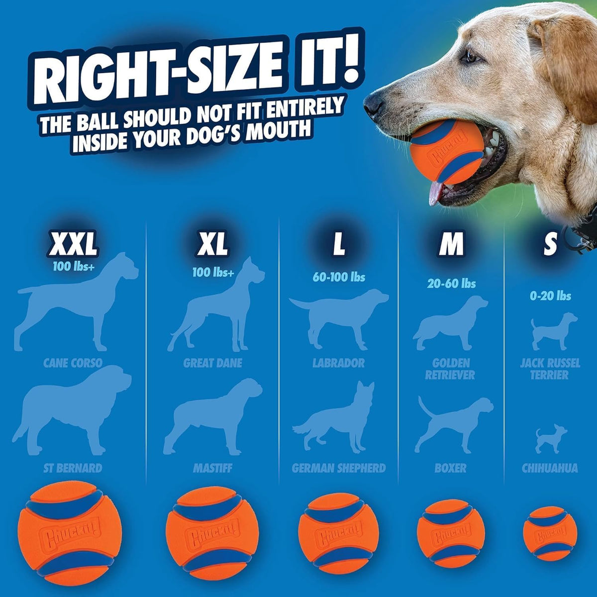 Chuckit! Ultra Ball Durable Rubber Dog Toy, Large, 7.3cm (2-Pack)