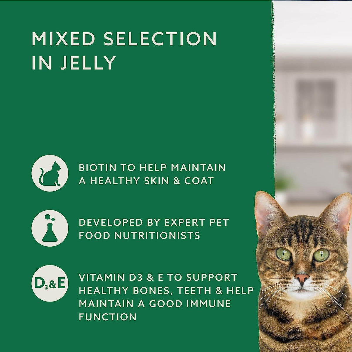 by Amazon Grain-Free Complete Wet Food for Adult Cats, Mixed Selection In Jelly, 4.8 kg (48 pouches of 100g)