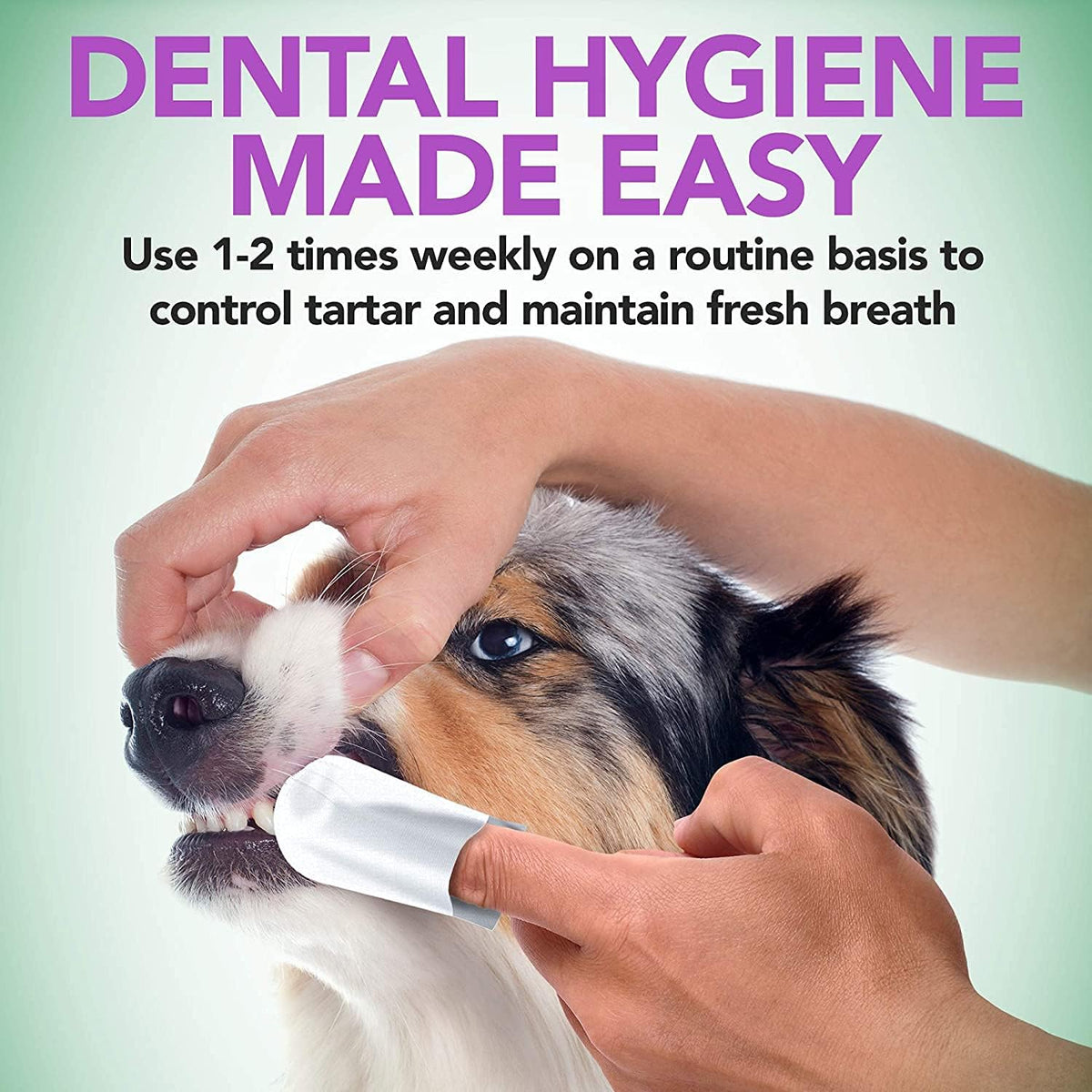 Vet's Best Dental Care Finger Wipes. 50 Disposable Wipes
