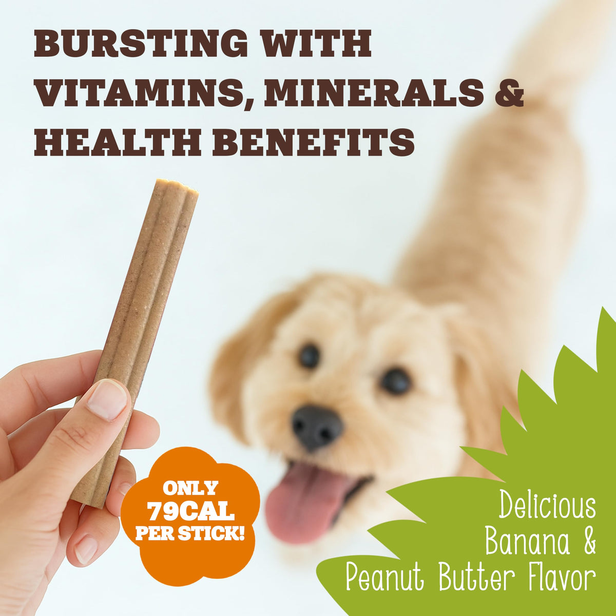 Soopa Carrot & Pumpkin Dog Dental Sticks, Chews to Clean Teeth, 100 g, 1-Pk