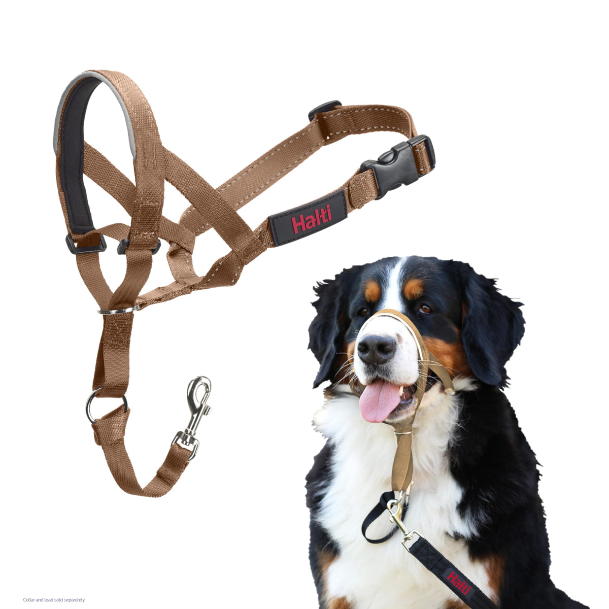Halti Headcollar for Dogs | Size 3, Black