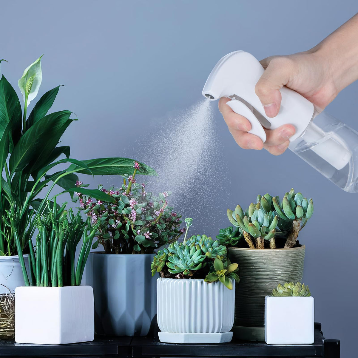 Spray Bottles Continuous Ultra Fine Mist Empty Water Bottles Hairdresser Spray Bottles Salon Hairdresser Hair Tool Water Sprayer (200ML, Mint Green)