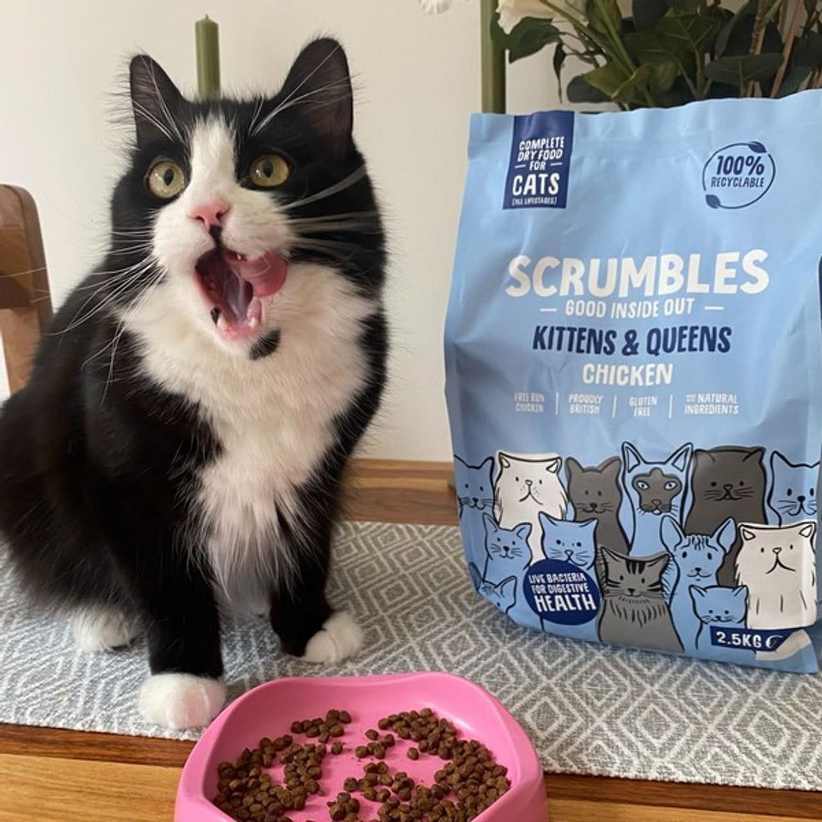 Scrumbles All Natural Dry Cat Food With Chicken and Fresh Salmon, High Protein Food for Adults And Seniors, 2.5 Kg,pink bag