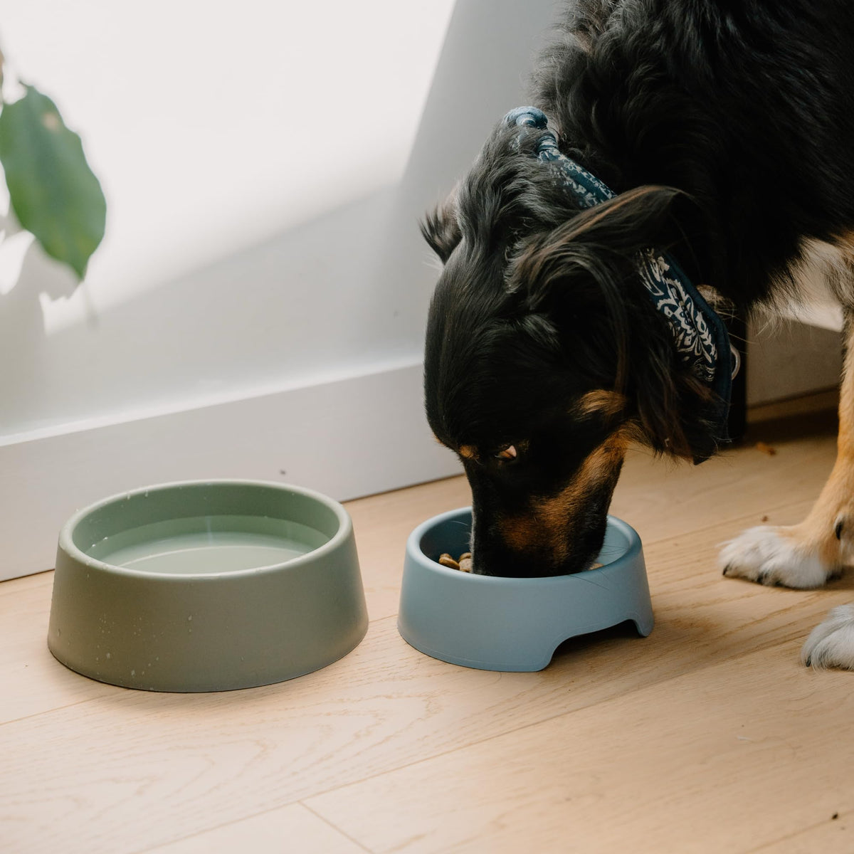 Beco Dog Bowl, Food & Water Steady Bowl, Recycled Plastic, Olive Green, L