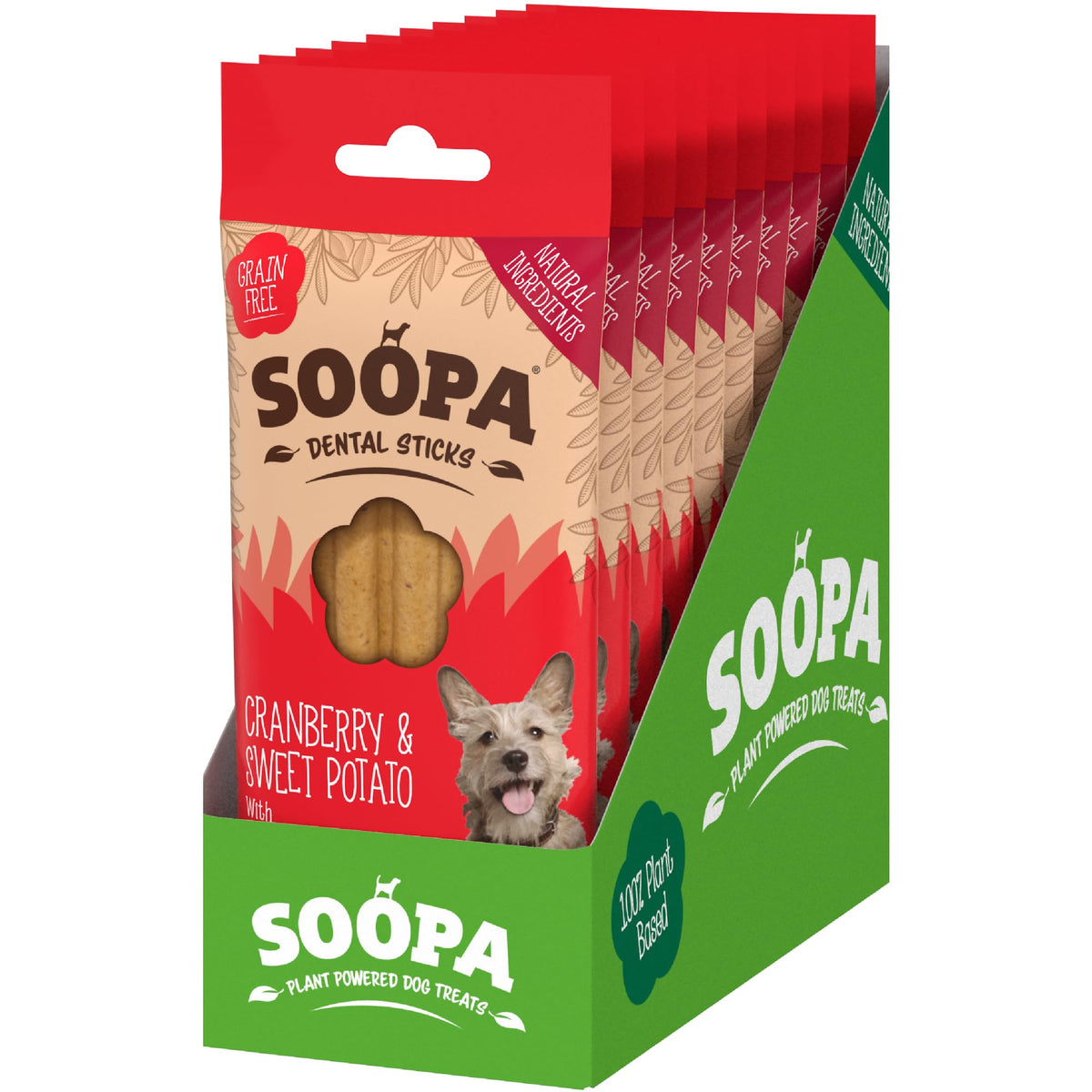 Soopa Carrot & Pumpkin Dog Dental Sticks, Chews to Clean Teeth, 100 g, 1-Pk