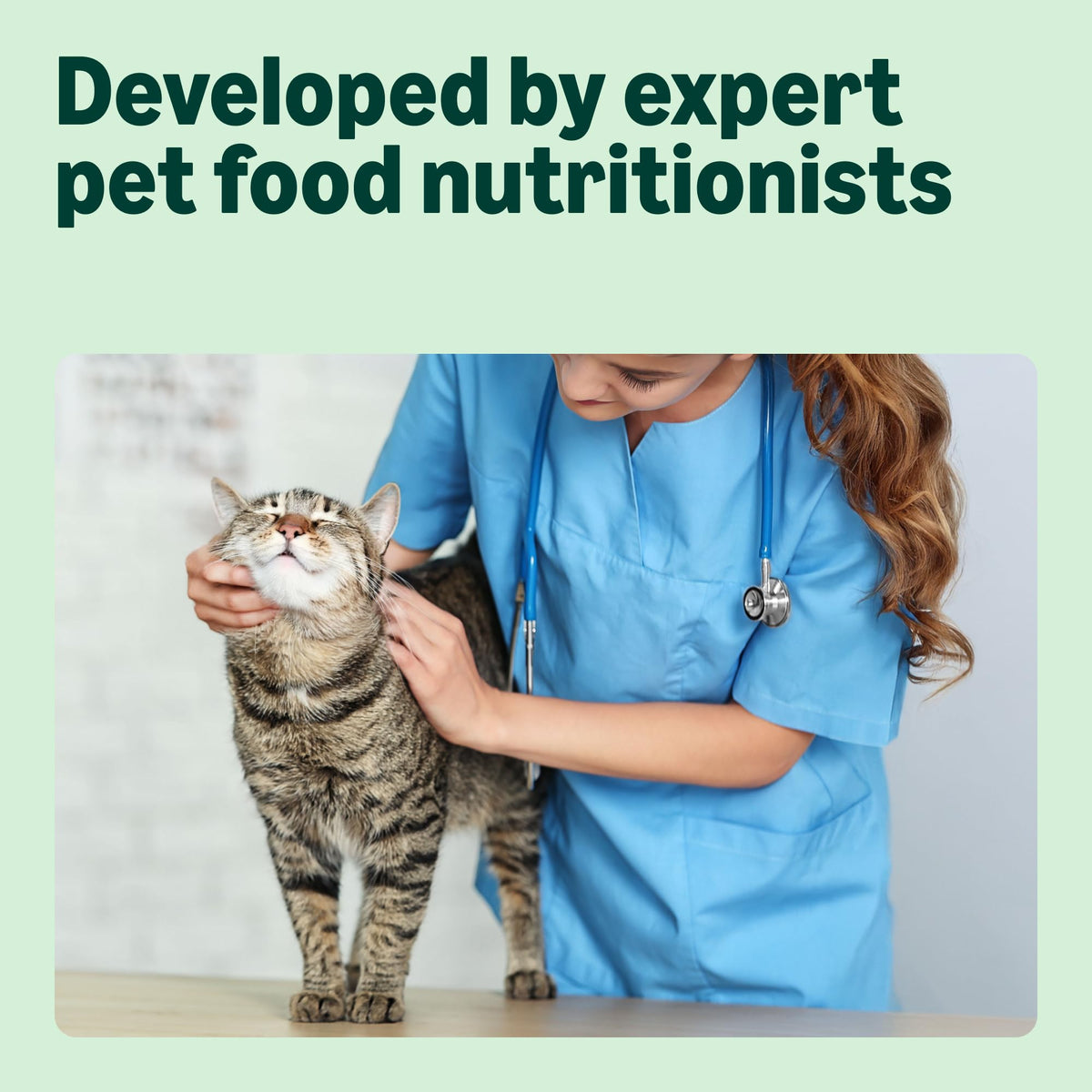 by Amazon Complete Dry Cat Food Rich in Chicken & Rice for Adult Cats, 1 Pack of 3 kg (Previously a Lifelong brand, same product)