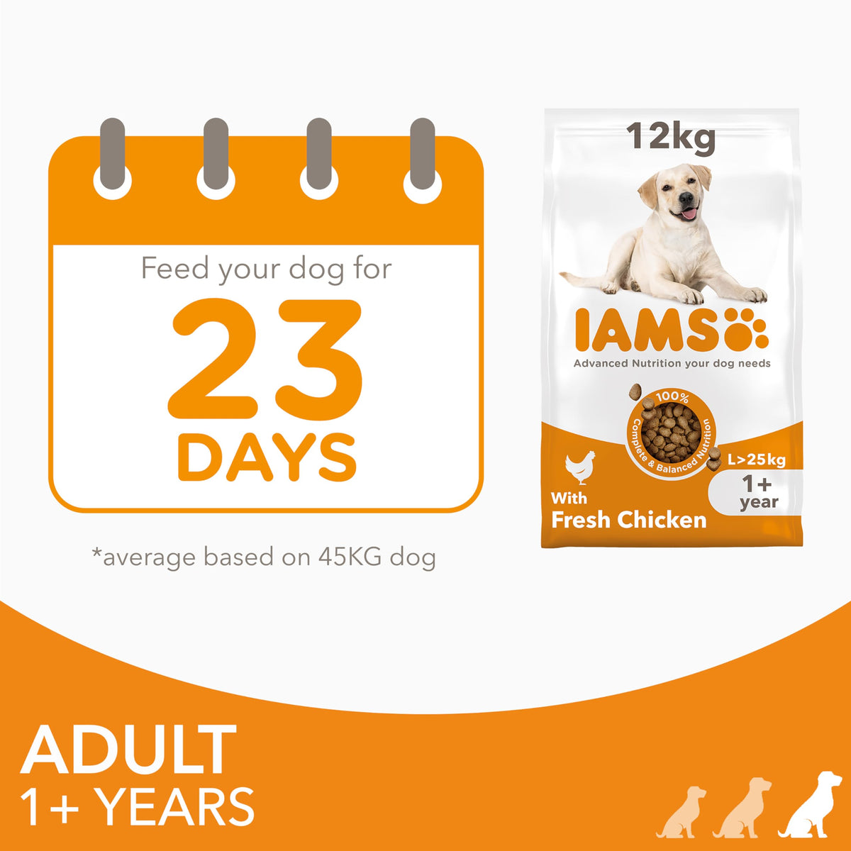 IAMS Adult Large Complete Dry Dog Food Lamb 12kg - With DentalCare System