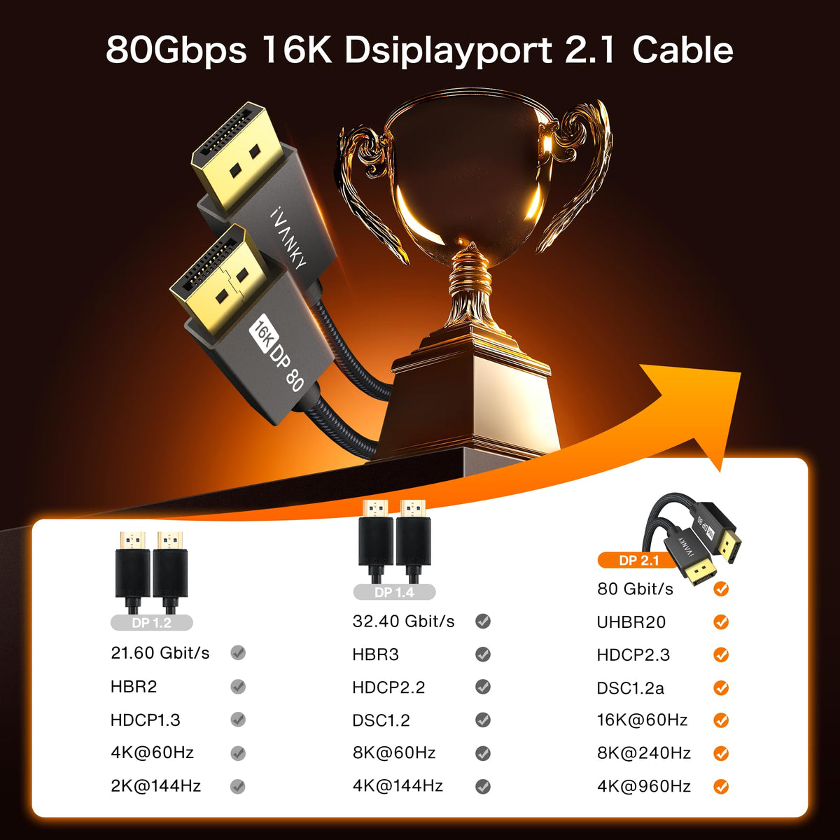 IVANKY VESA Certified DisplayPort Cable 2m DP to DP 4K@60Hz Gaming Monitor