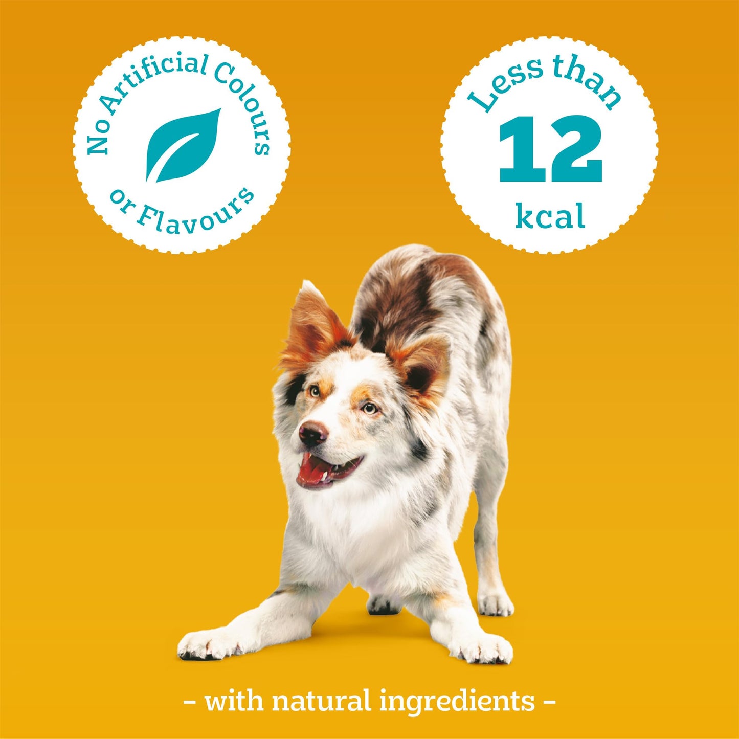 PEDIGREE TASTY MINIS Adult Dog Treats Cheese & Beef Nibbles 140g - Pack of 8, Packaging May Vary
