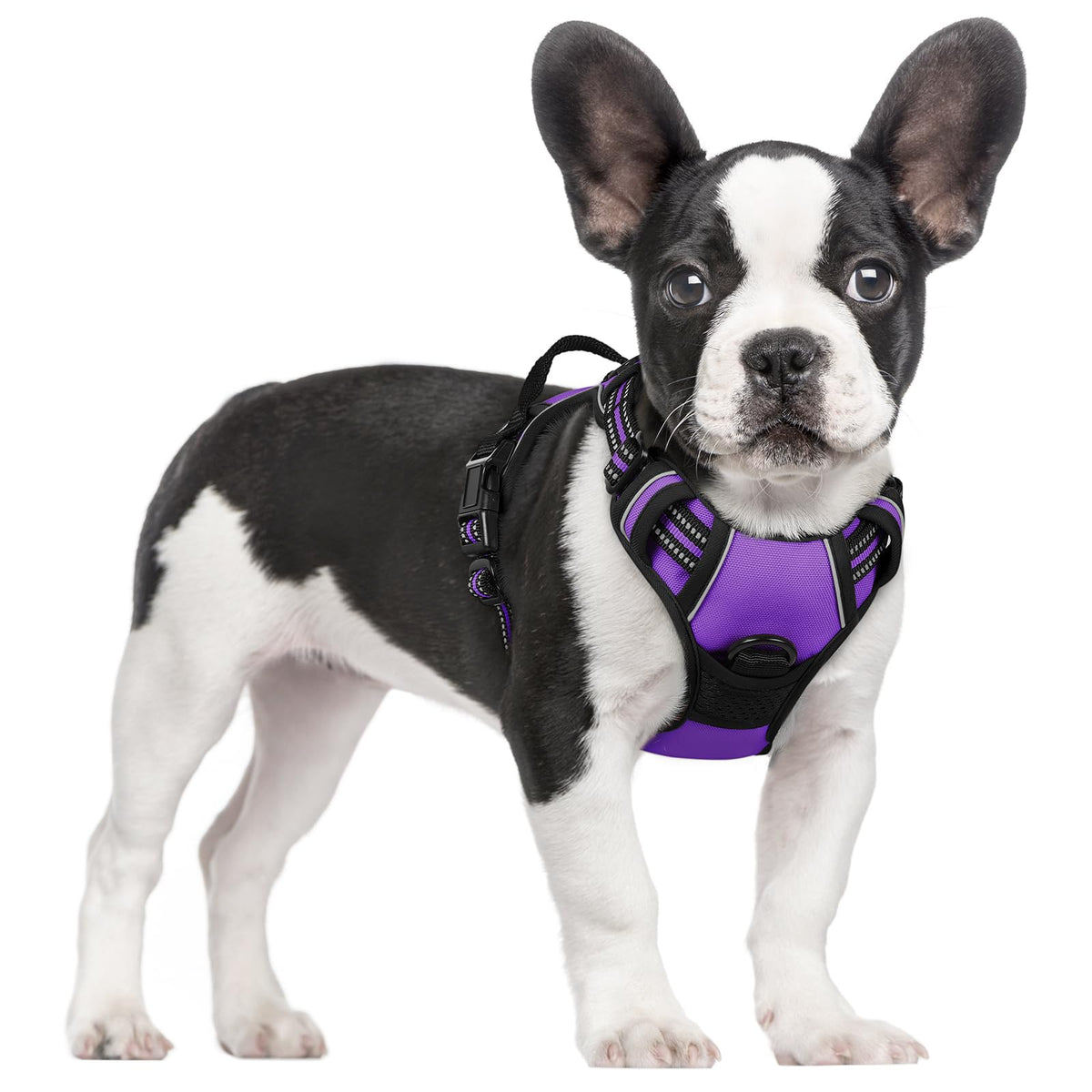 rabbitgoo Dog Harness Large Dog, No Pull Vest with Front Clip & Handle