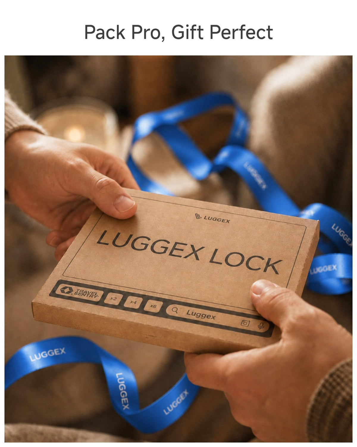 LUGGEX Suitcase Locks, Luggage Locks, TSA Approved Luggage Locks,Black,2