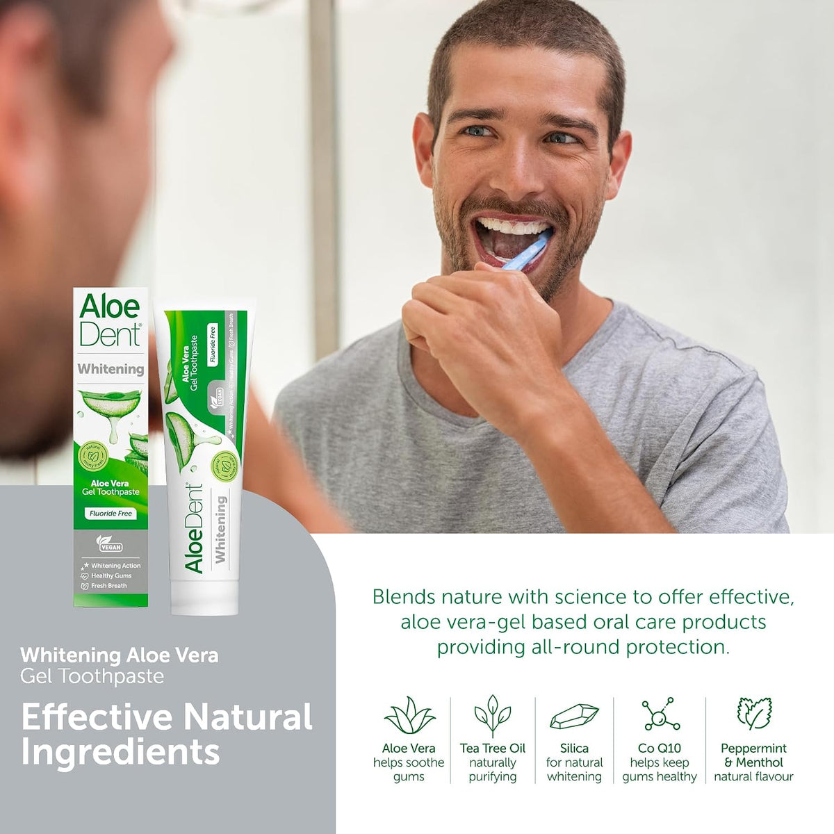 Aloe Dent Whitening Aloe Vera Toothpaste Fluoride Free, Natural Action, Vegan, Cruelty Free , SLS Free, Naturally White, Healthy Gums , 100 ml, packaging may vary