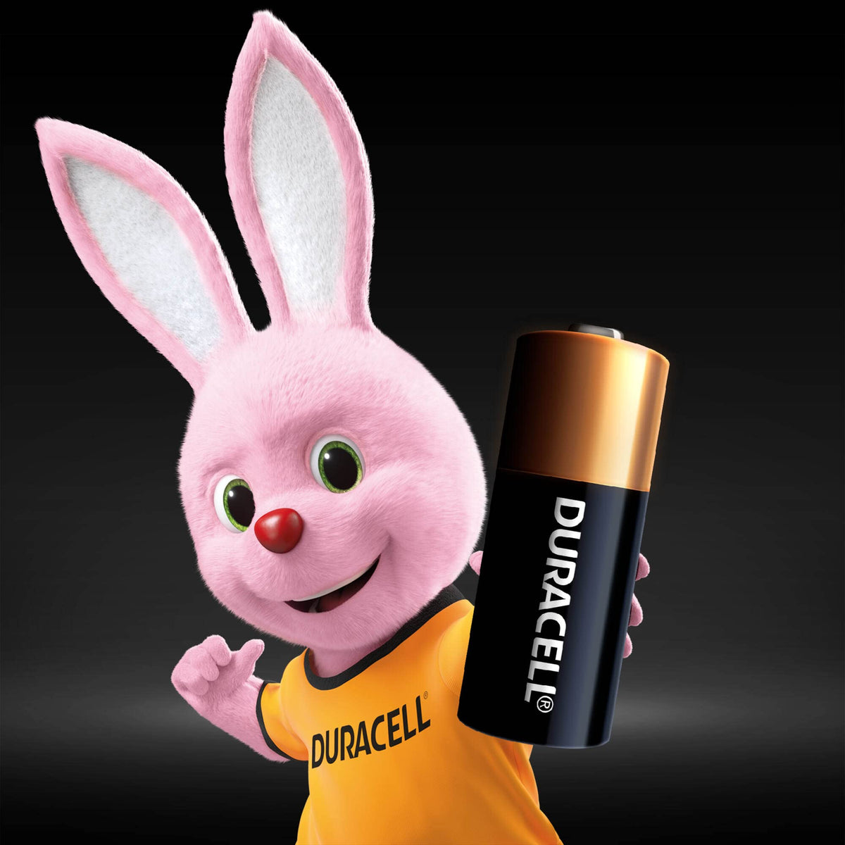 DURACELL 2025 Lithium Coin Batteries (4 Pack) 3V, CR2025