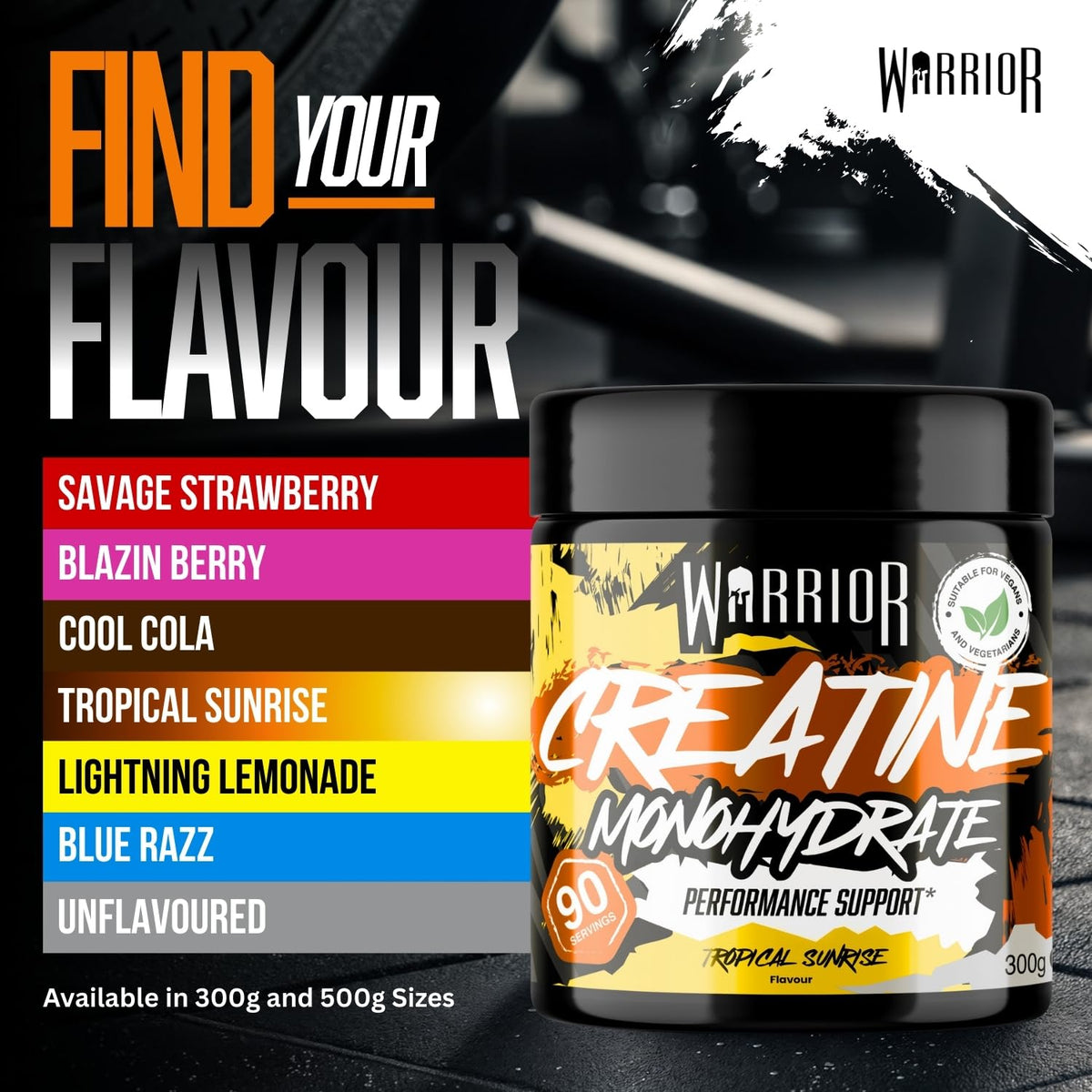 Warrior Creatine Monohydrate Powder 500g Pure Micronised (166 Servings)