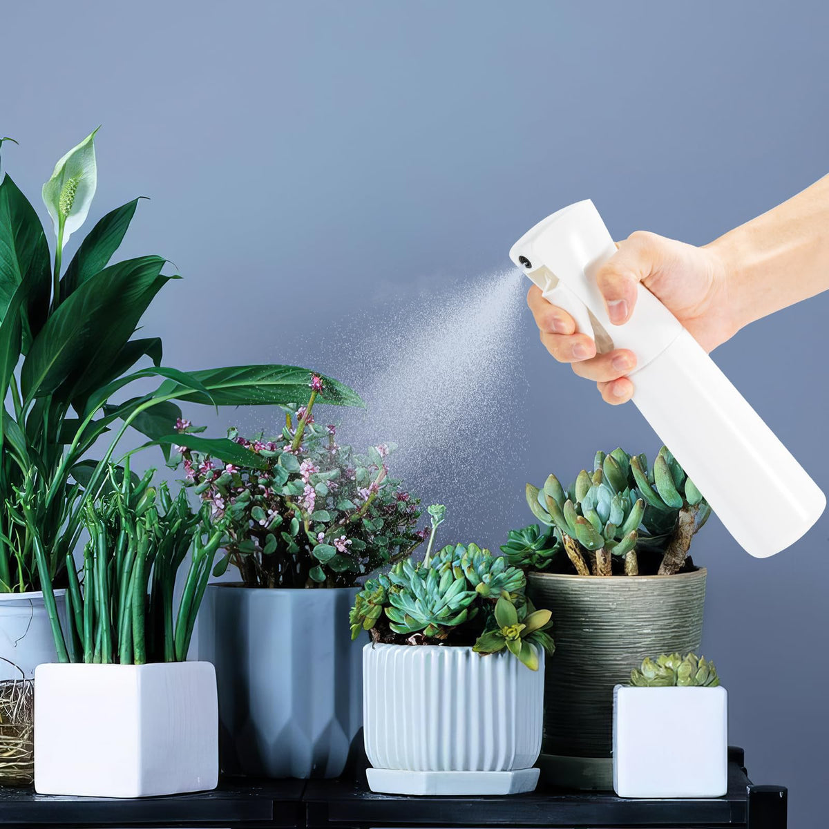 Spray Bottles Continuous Ultra Fine Mist Empty Water Bottles Hairdresser Spray Bottles Salon Hairdresser Hair Tool Water Sprayer (200ML, Mint Green)
