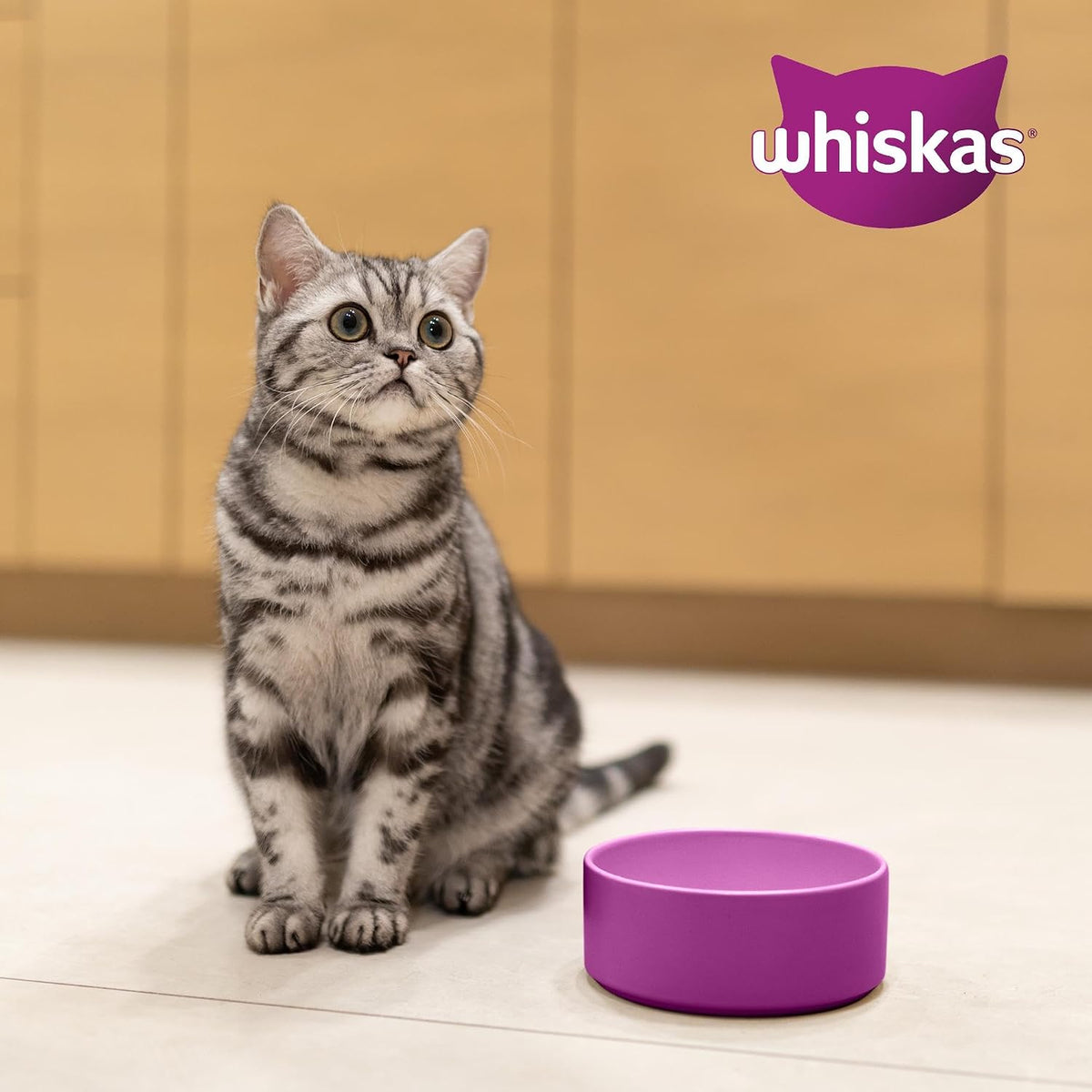 WHISKAS 1+ DUO Surf & Turf Dry Cat Food 1.9kg
