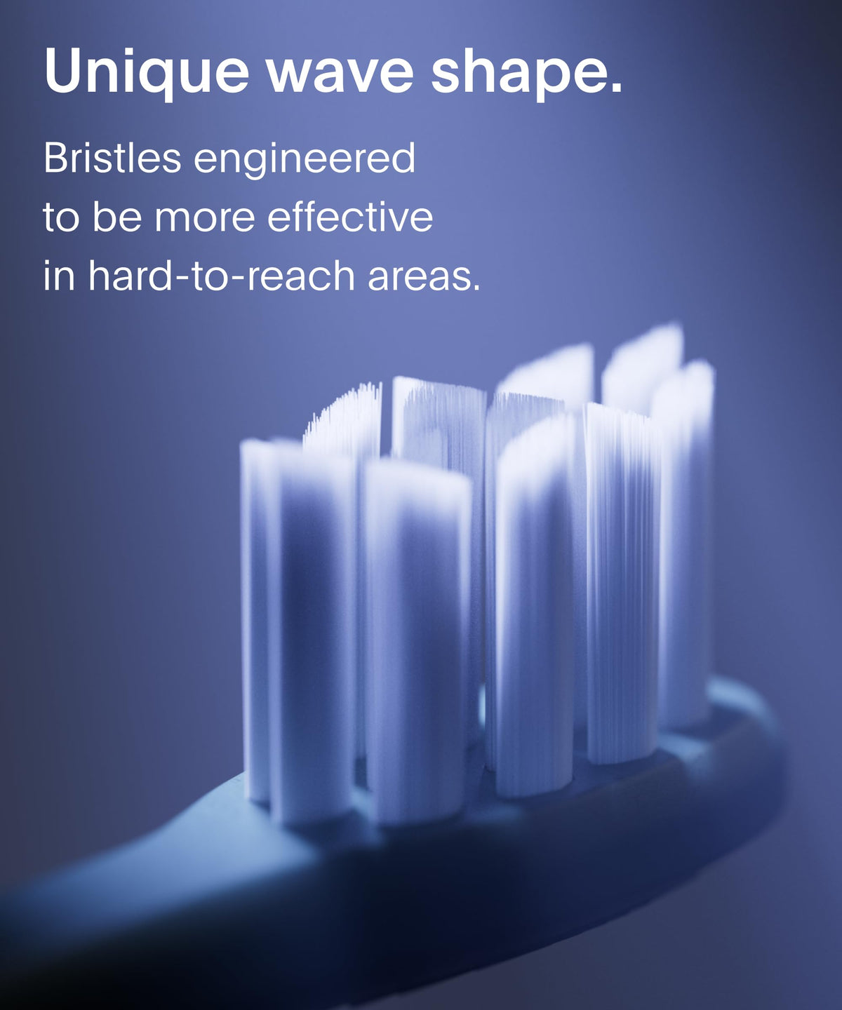 SURI Recyclable Electric Toothbrush Heads | Core & Pro Compatible | Long Lasting Replacement Heads | Pack of 3 | Winter Fern