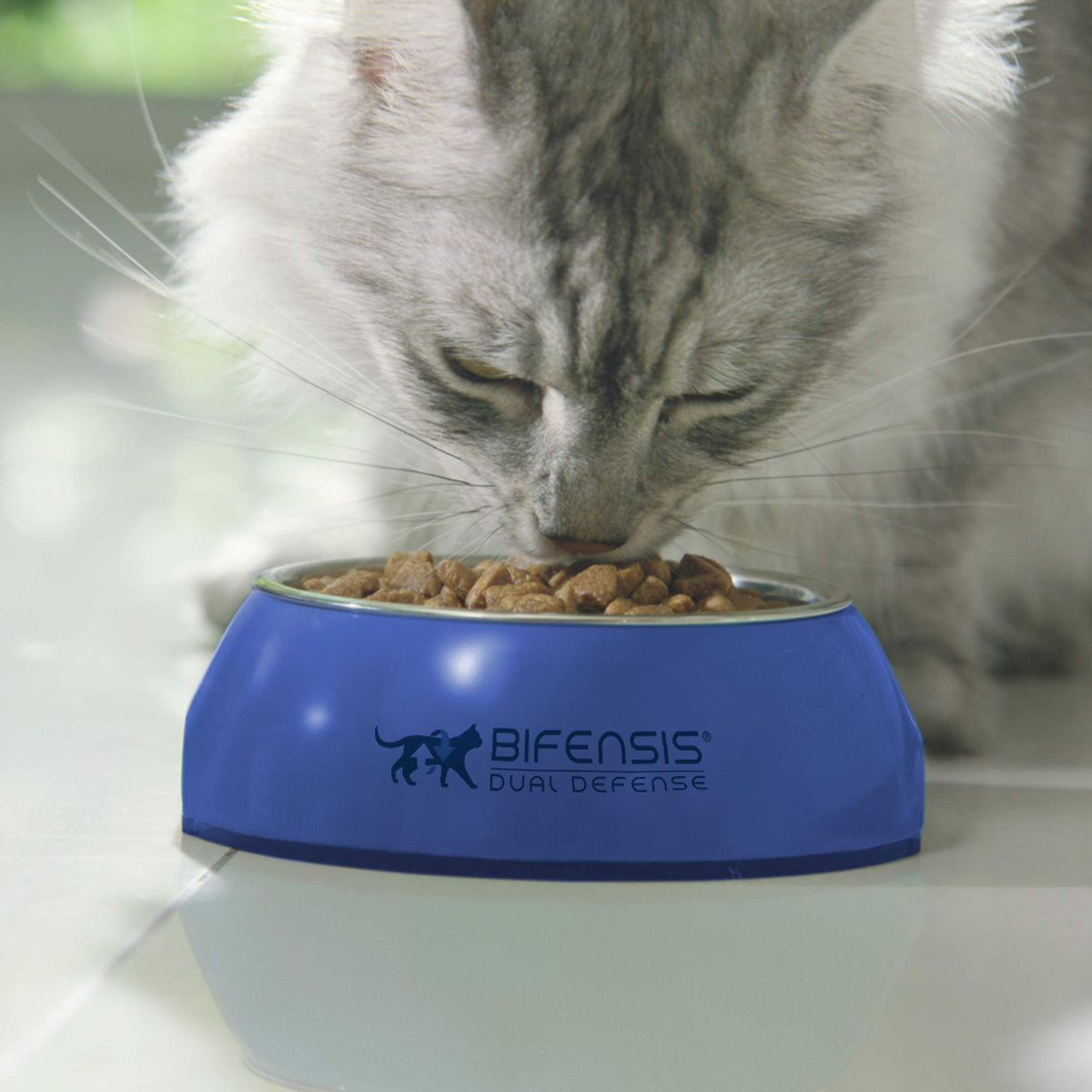 PURINA ONE Bifensis Adult Dry Cat Food Chicken 7.5kg Pack