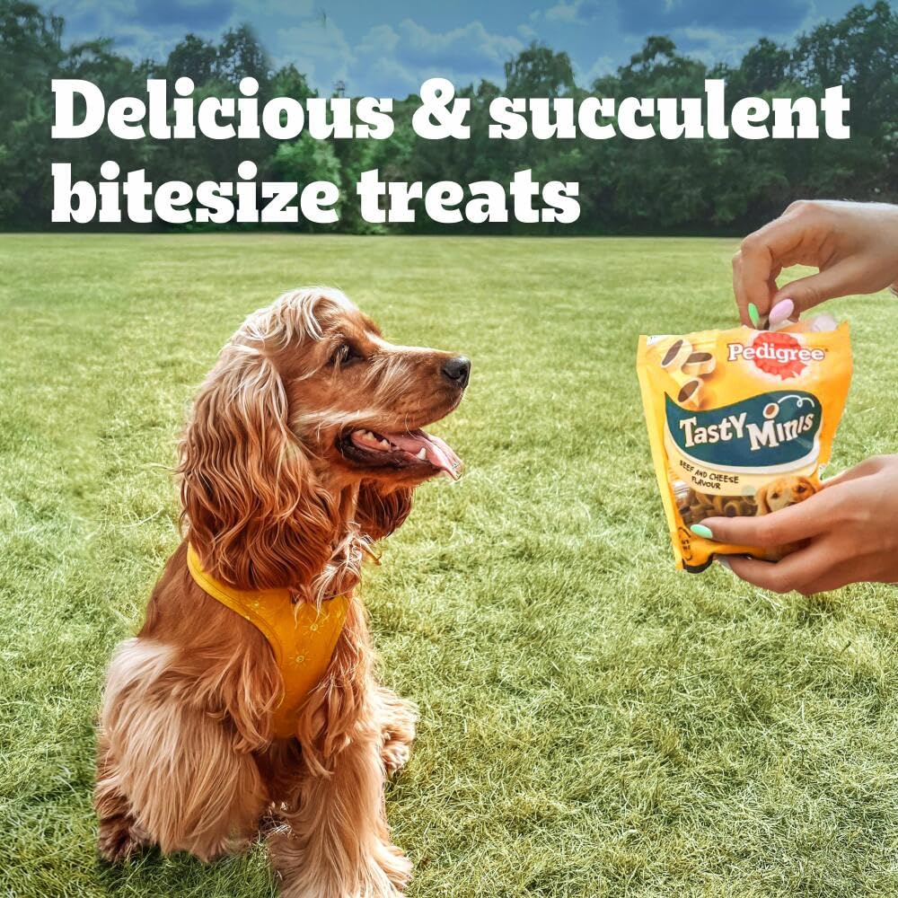 PEDIGREE TASTY MINIS Adult Dog Treats Cheese & Beef Nibbles 140g - Pack of 8, Packaging May Vary