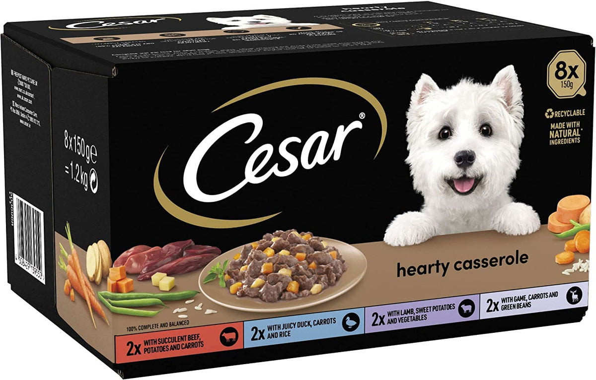 CESAR Pouch Selection in Jelly, Fresh Adult Wet Dog Food Pouches in Delicious Jelly with Succulent Meats and Vegetables, 48 x 100 g