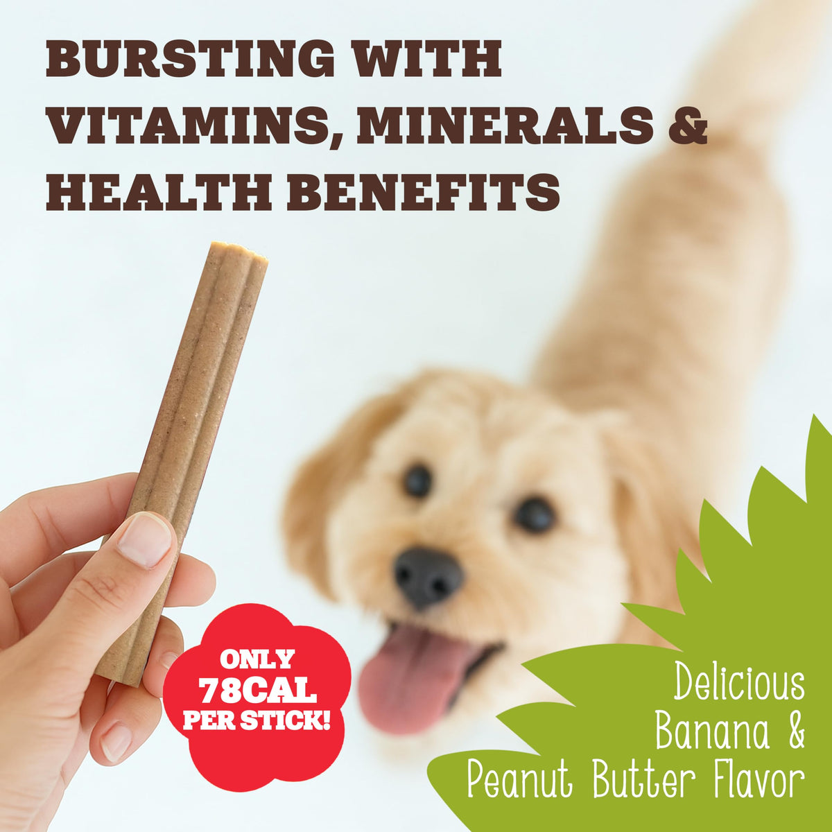 Soopa Carrot & Pumpkin Dog Dental Sticks, Chews to Clean Teeth, 100 g, 1-Pk