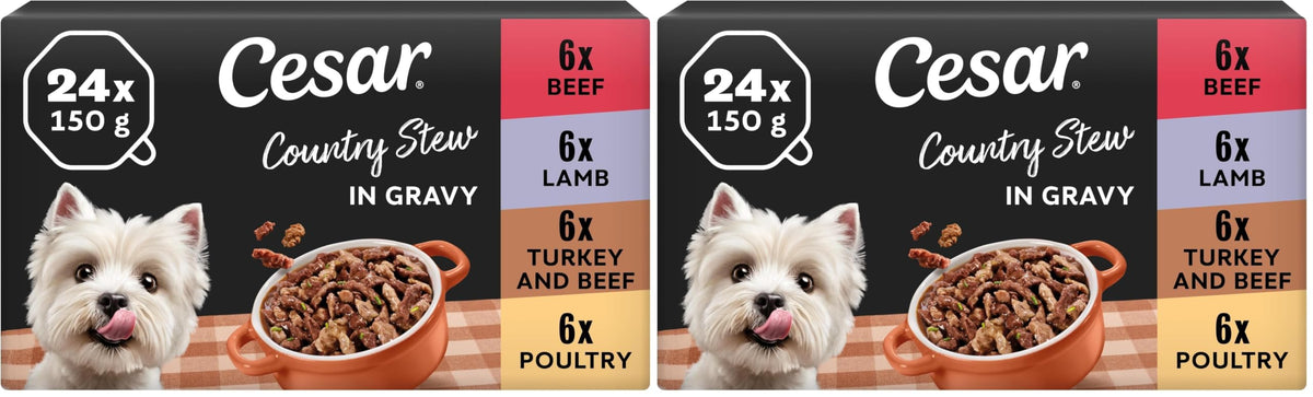 CESAR Pouch Selection in Jelly, Fresh Adult Wet Dog Food Pouches in Delicious Jelly with Succulent Meats and Vegetables, 48 x 100 g