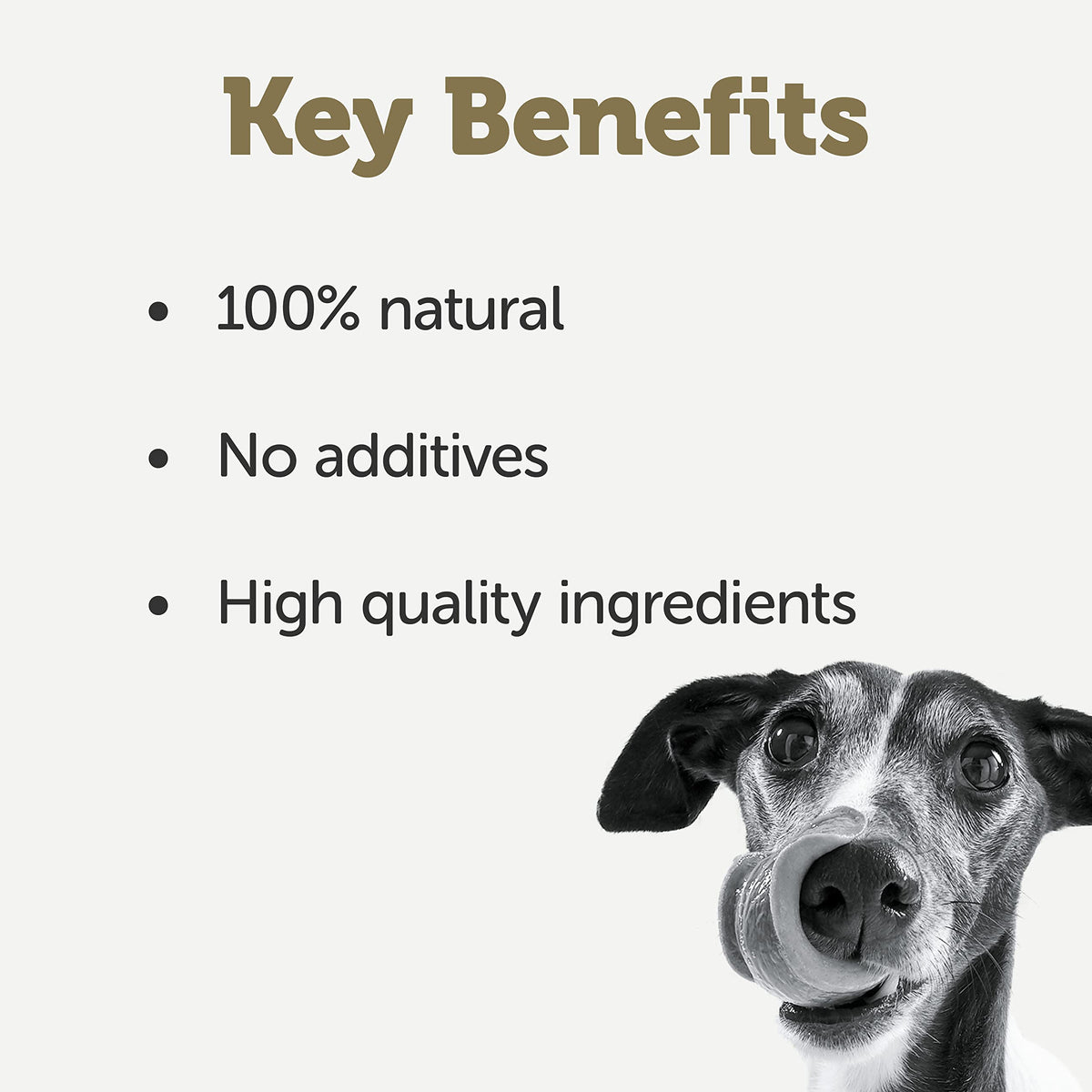 Applaws Natural Wet Dog Food Topper, Chicken Selection in Broth, 8x156g Tin