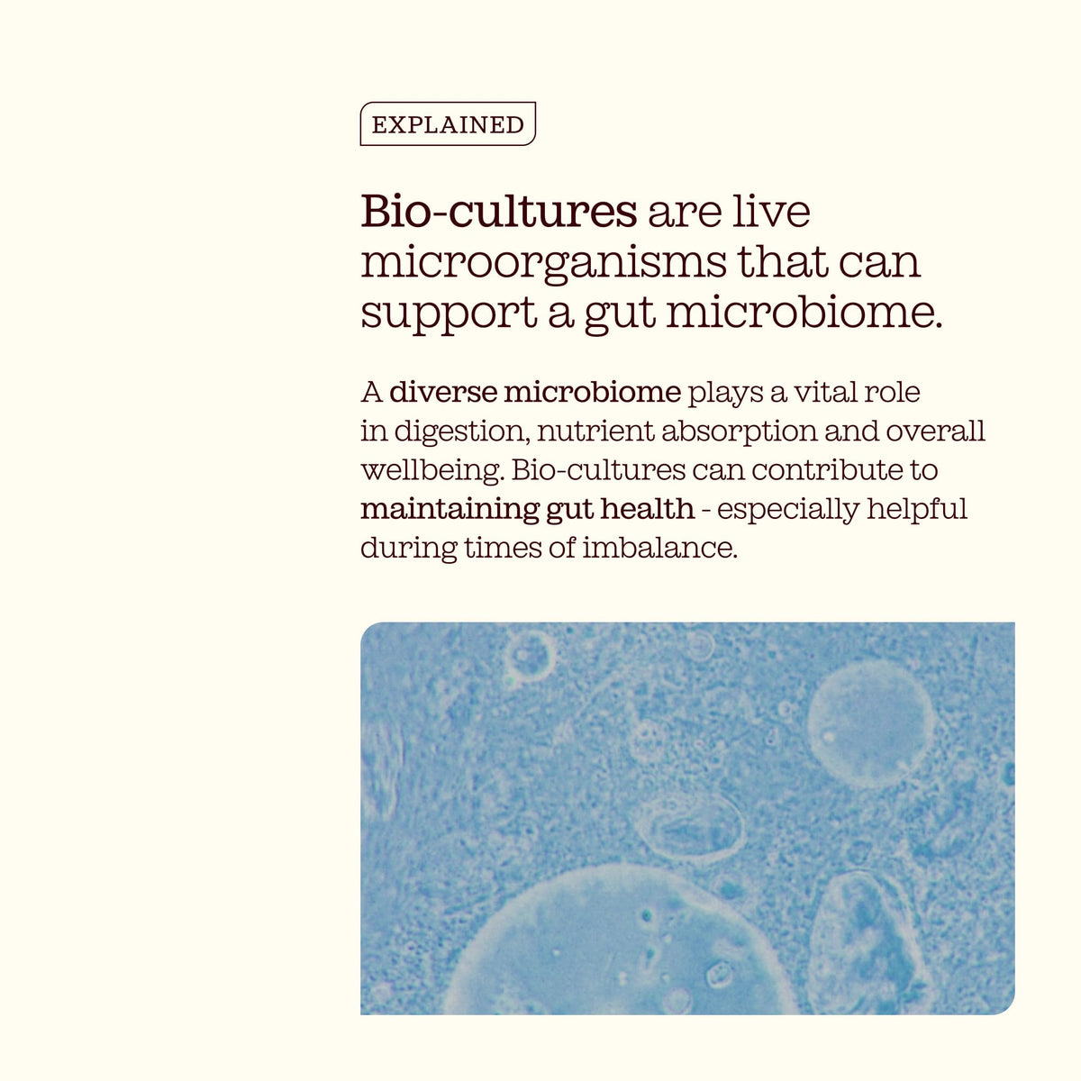 Free Soul Intimate Flora Bio Cultures for Women