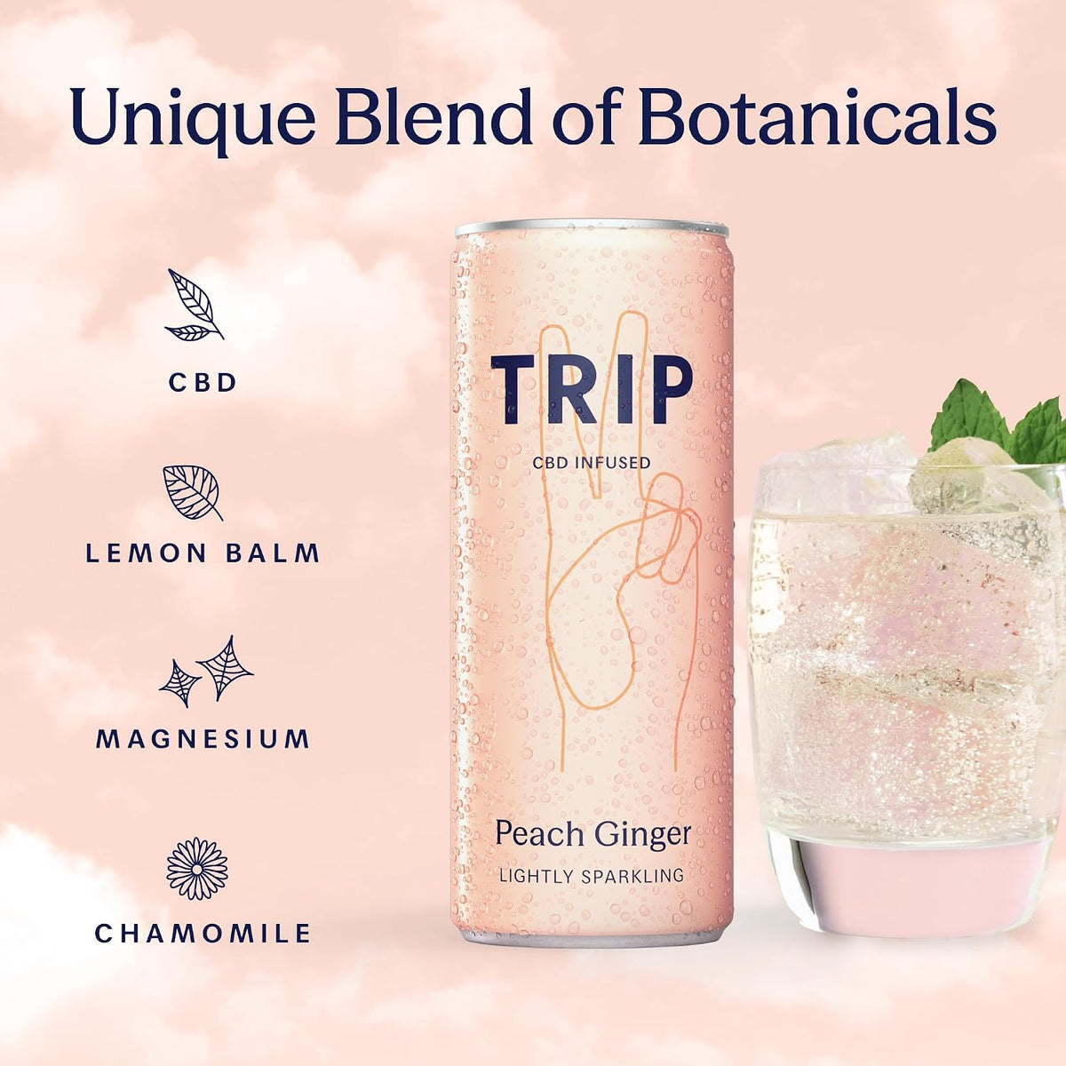 TRIP Sparkling Drink, Low Calorie, Vegan, Peach Ginger, 12 pack
