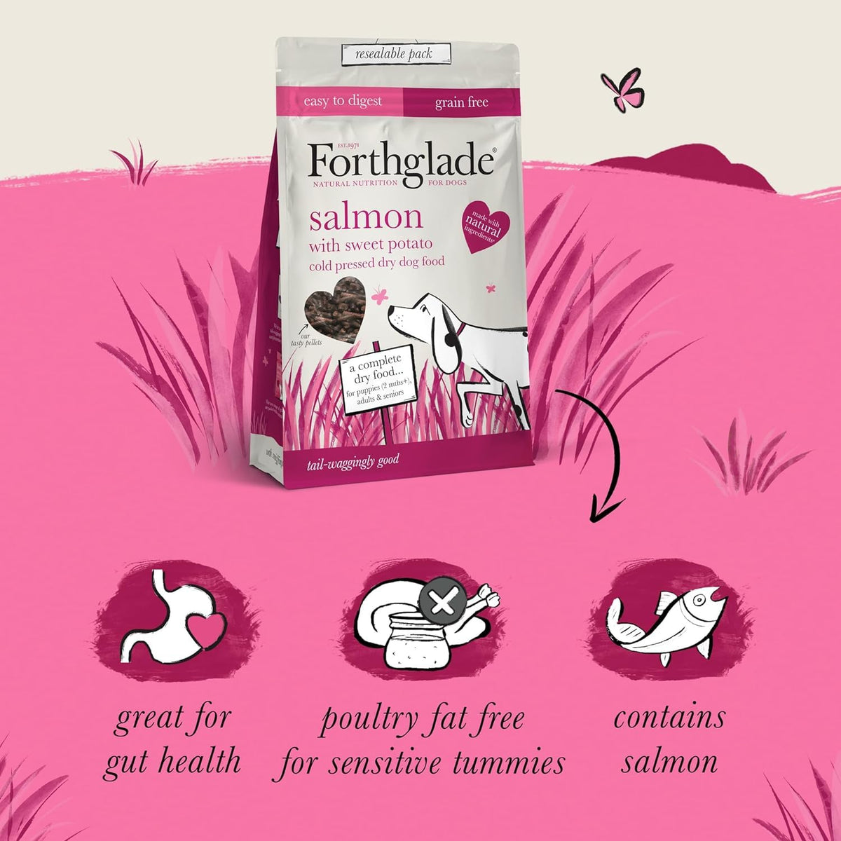 Forthglade Dry Dog Food, Cold Pressed (6kg), Hypoallergenic and Grain Free Dog Food, Salmon & Vegetables, Natural Senior, Adult and Puppy Meal Vet, Approved For Good Gut Health