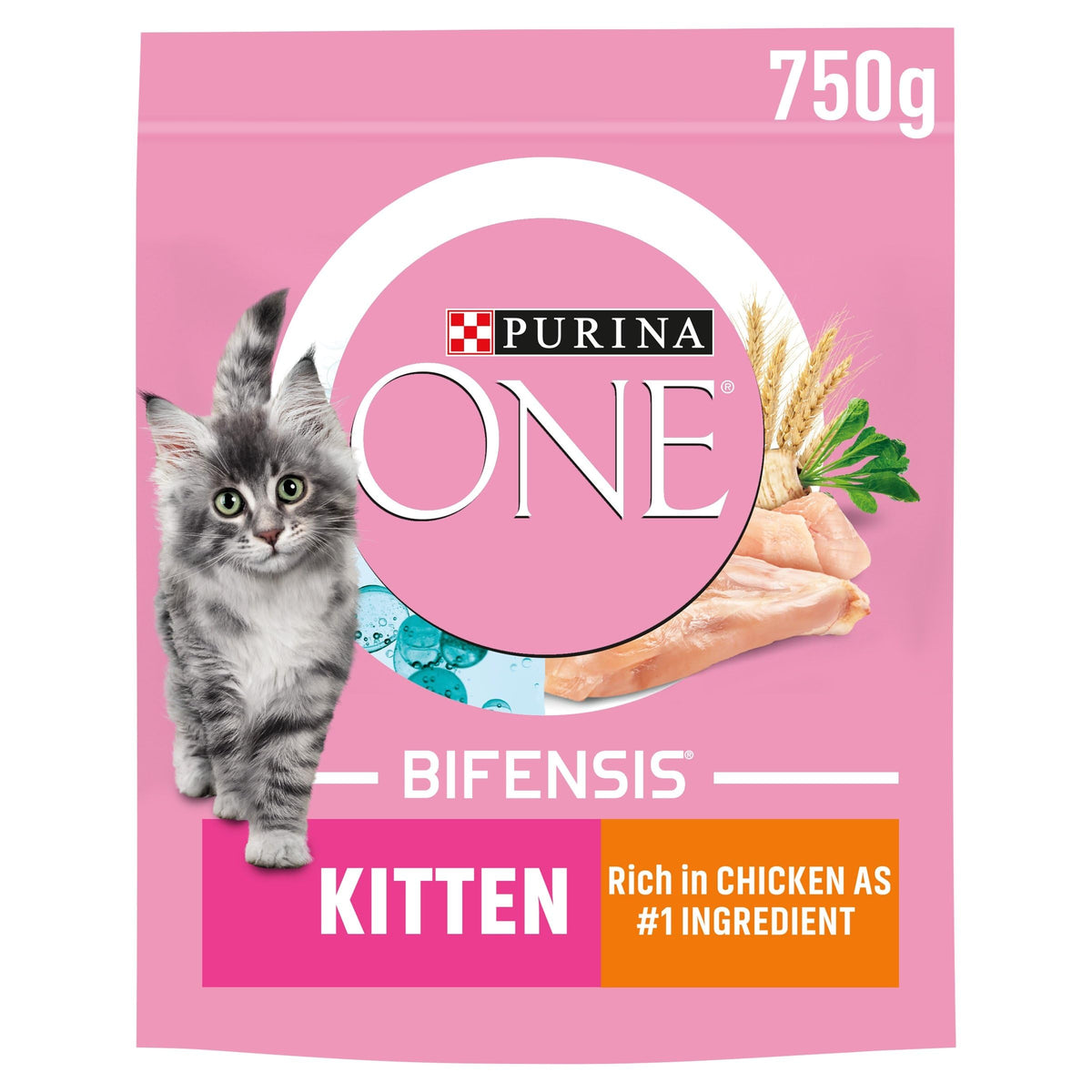 PURINA ONE BIFENSIS Dry Food for Adult Cats, Rich in Chicken, 1 Pack (1 x 5.7 kg)