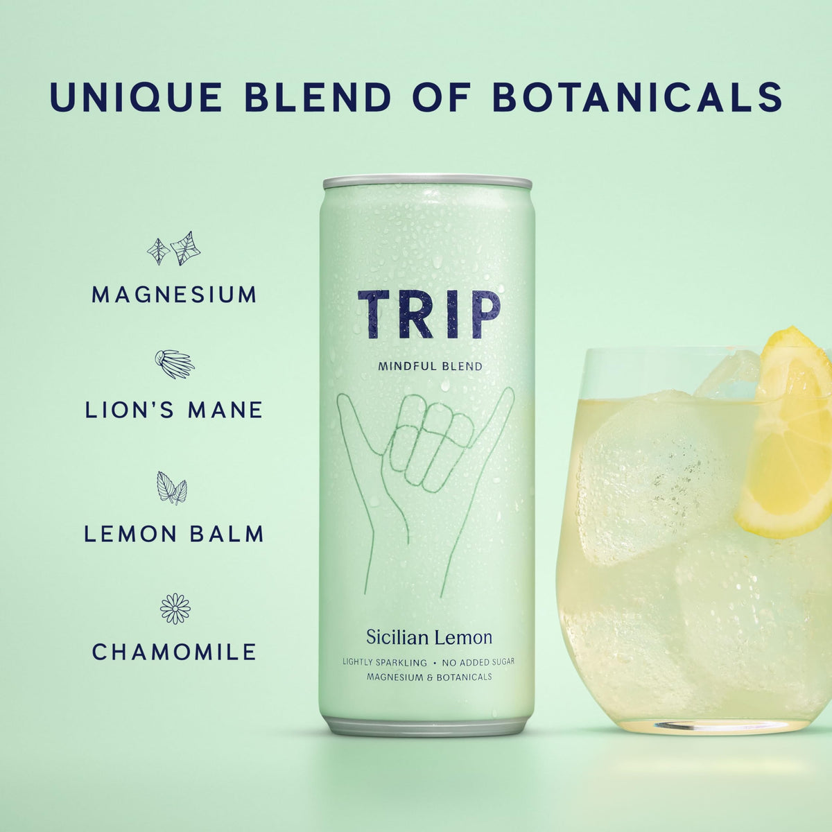TRIP Cucumber Mint Sparkling drink with 120MG calming Magnesium + Lion’s Mane + Chamomile + Lemon Balm. Low Calorie and Vegan (Pack of 12 x 250ml) - Packaging Might Vary