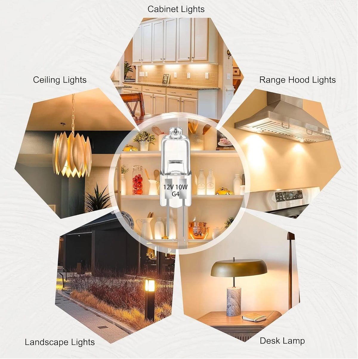 G4 Halogen Bulbs, 20W 12V Clear 2 Pin Lamp, 10 Pack
